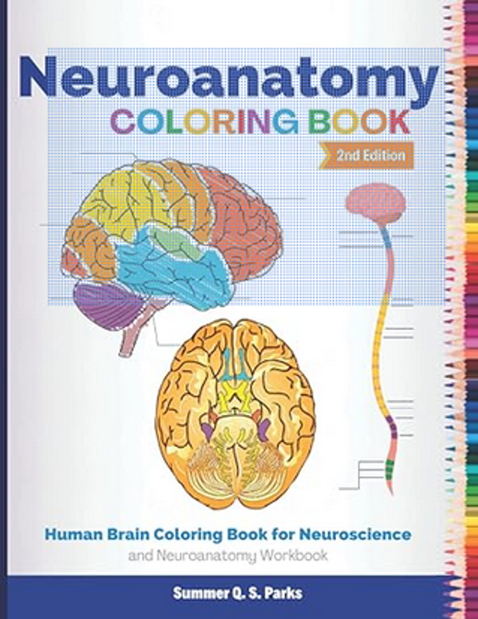Cover image for Neuroanatomy Coloring Book : Human Brain Coloring Book for Neuroscience and Neuroanatomy Workbook