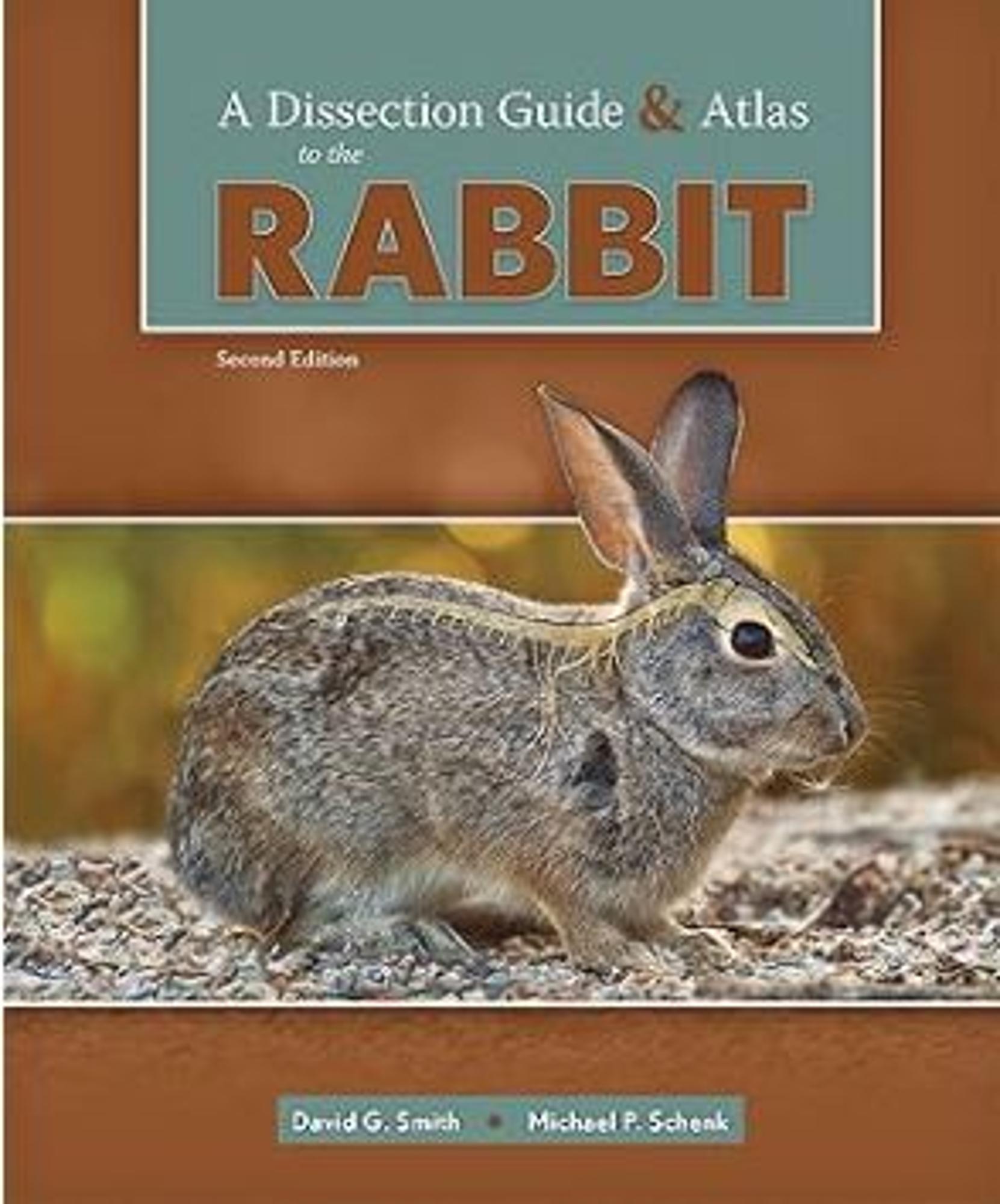 Cover image for DISSECTION GUIDE+ATLAS TO THE RABBIT