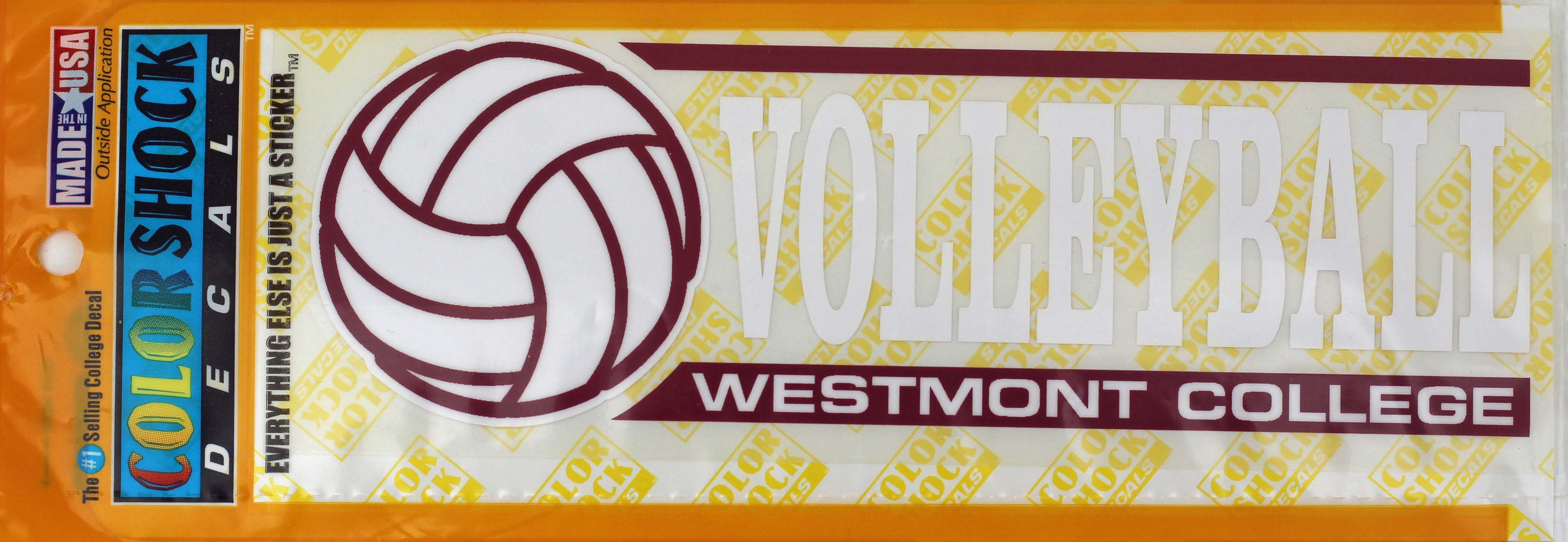 image of: Color Shock Volleyball Decal