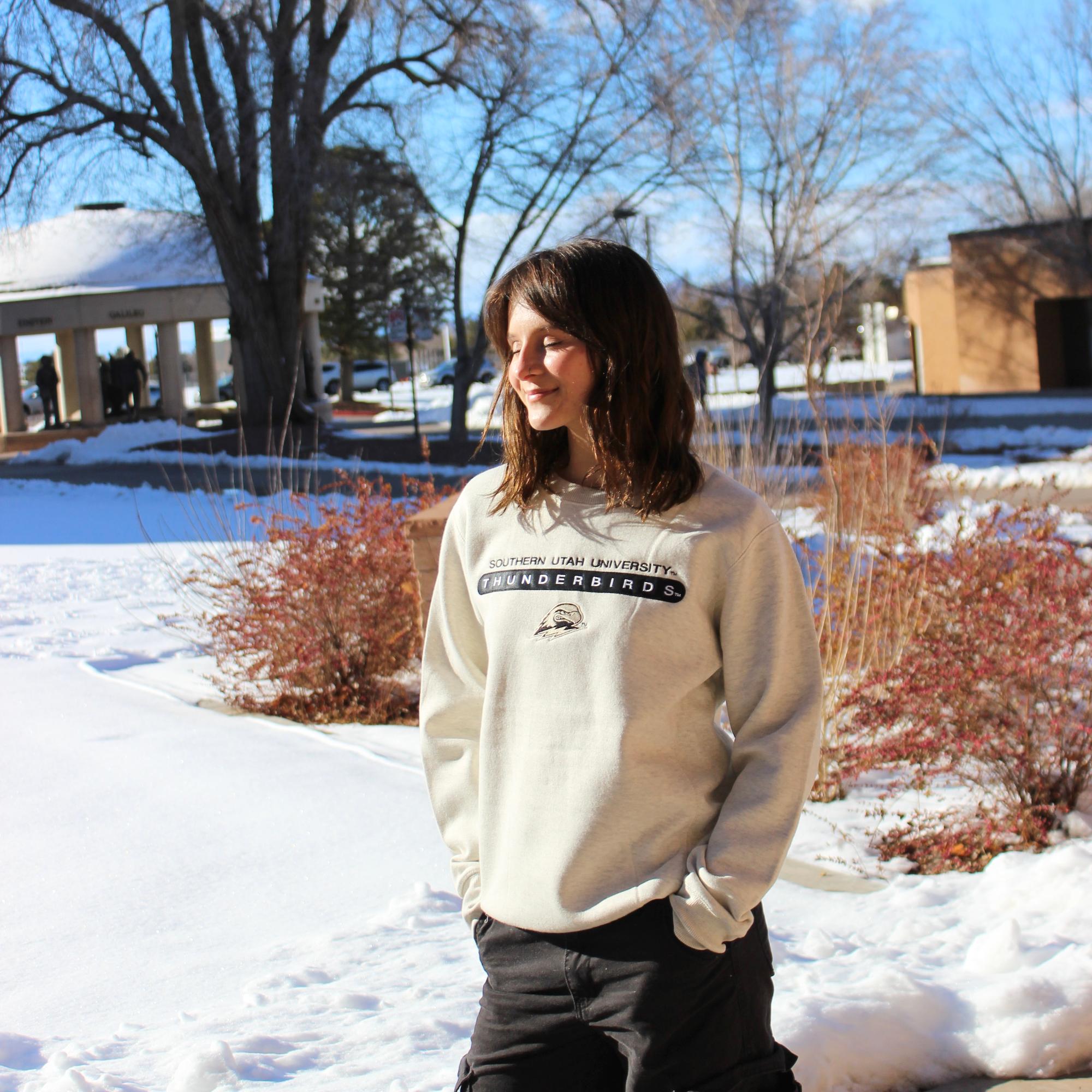 image of: CI Sport Oatmeal Southern Utah Thunderbirds Thor Crewneck