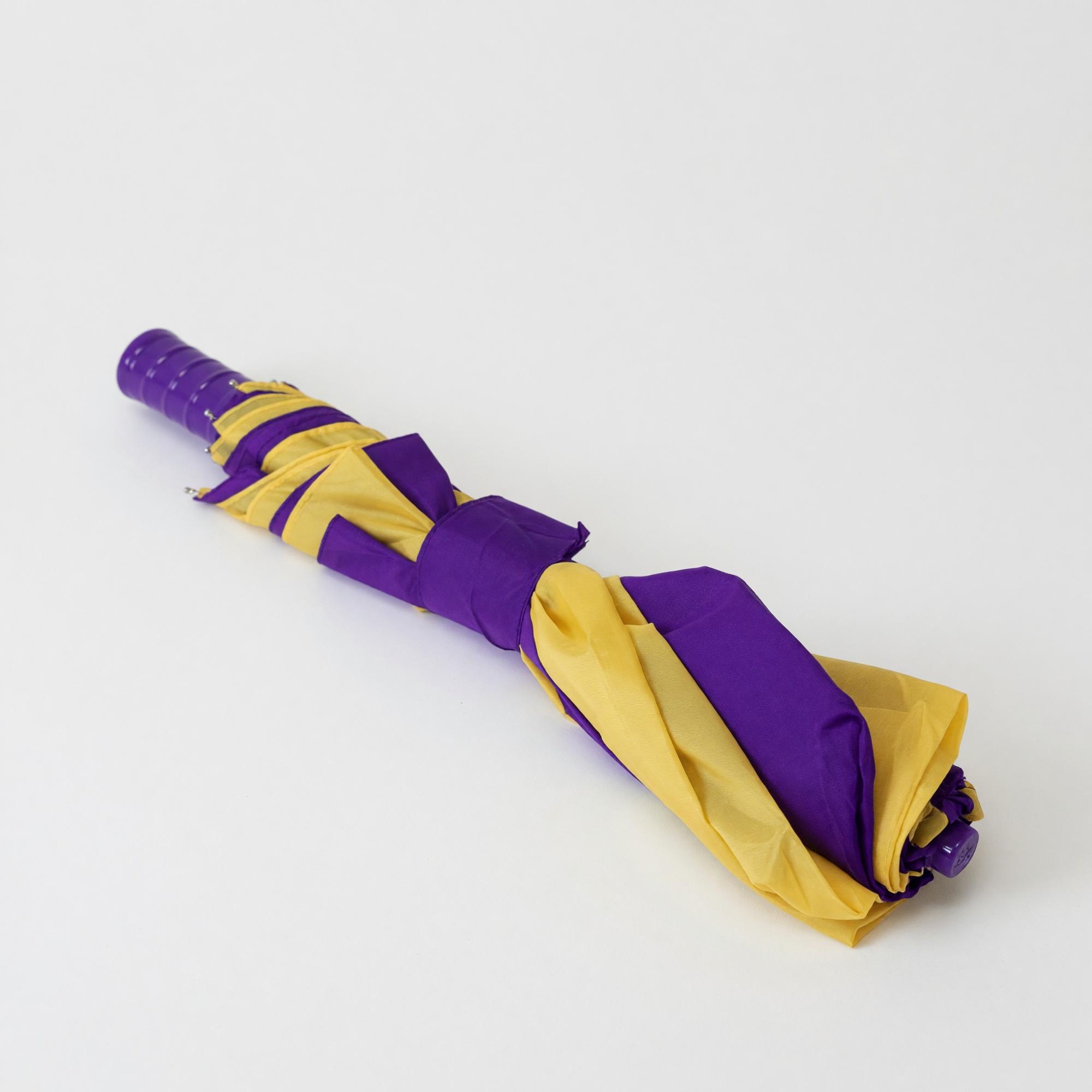 Product image 2 of 3 for University of Wisconsin Stevens Point 48" Compact Umbrella