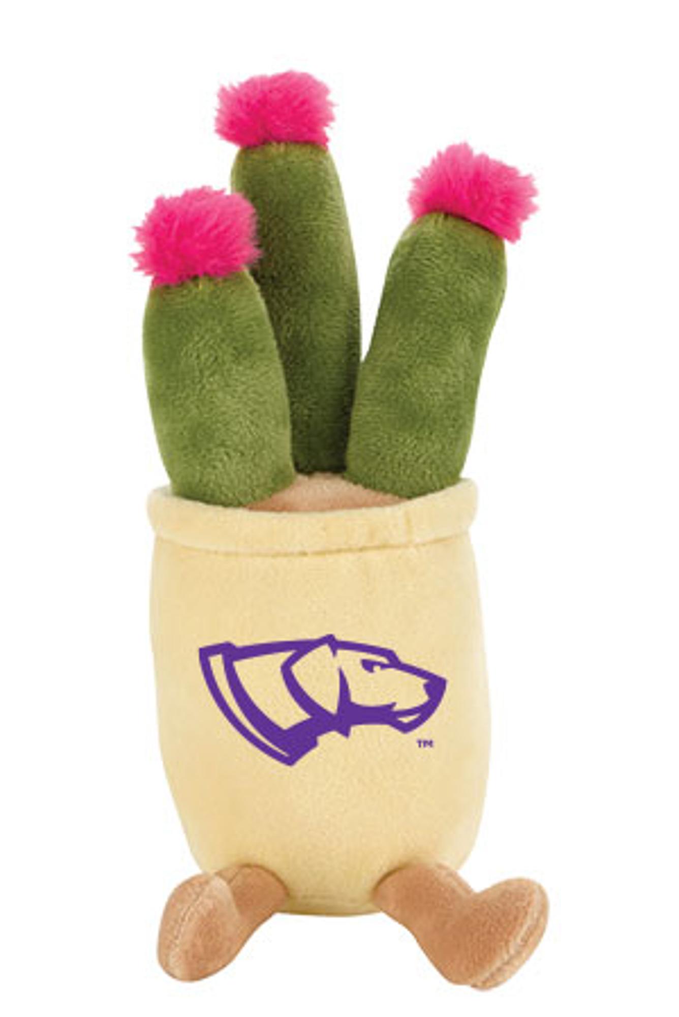Product image 4 of 4 for UWSP Zenzies