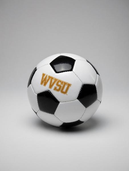 MINI SOCCER BALL; $14.99