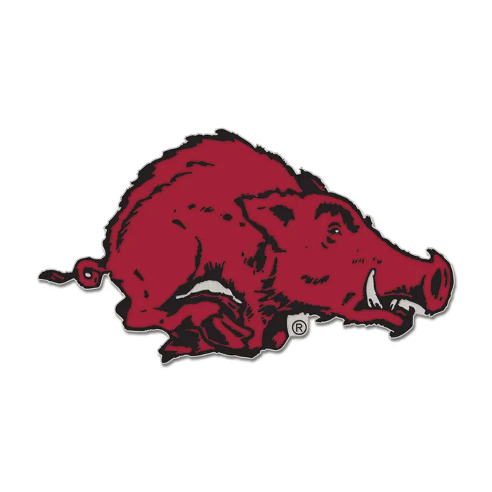 image of: Arkansas Razorbacks Vault Collector Enamel Pin