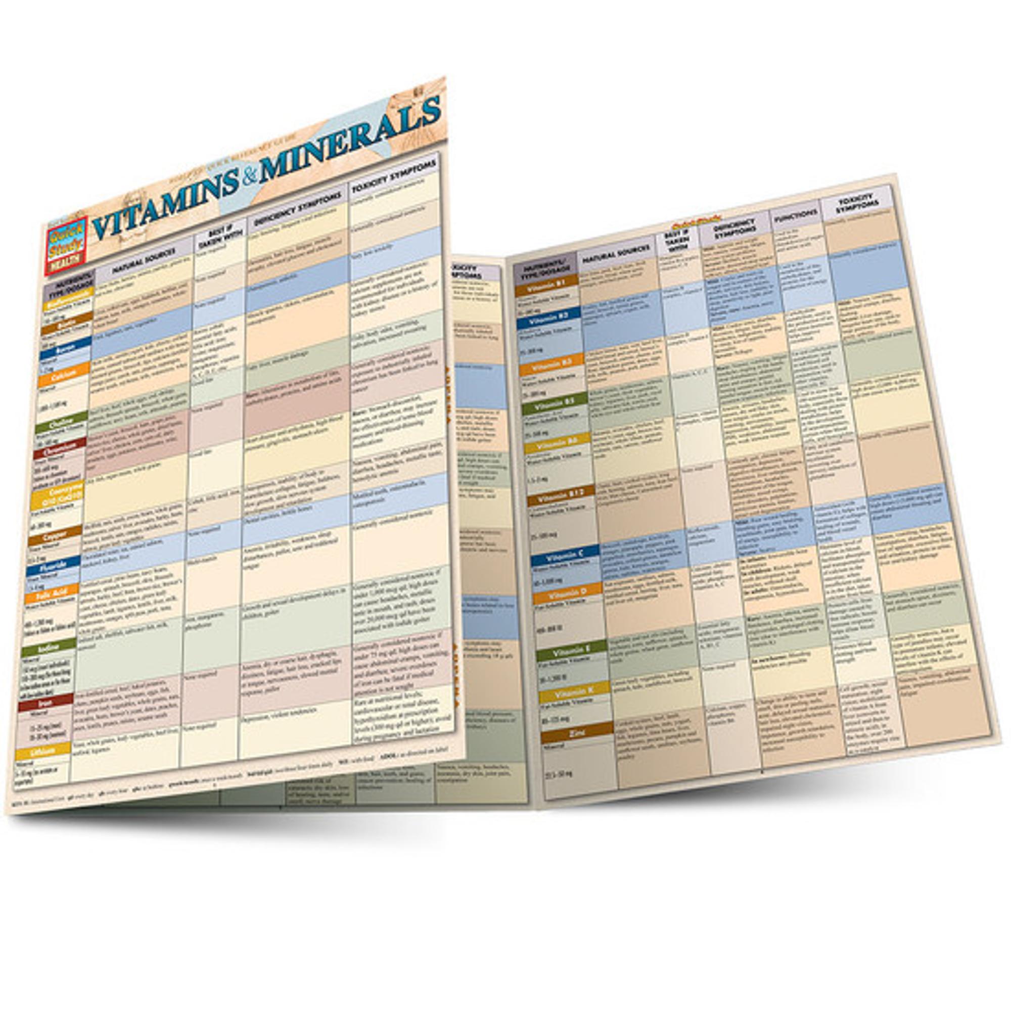 Cover image for VITAMINS & MINERALS LAMINATED STUDY GUIDE