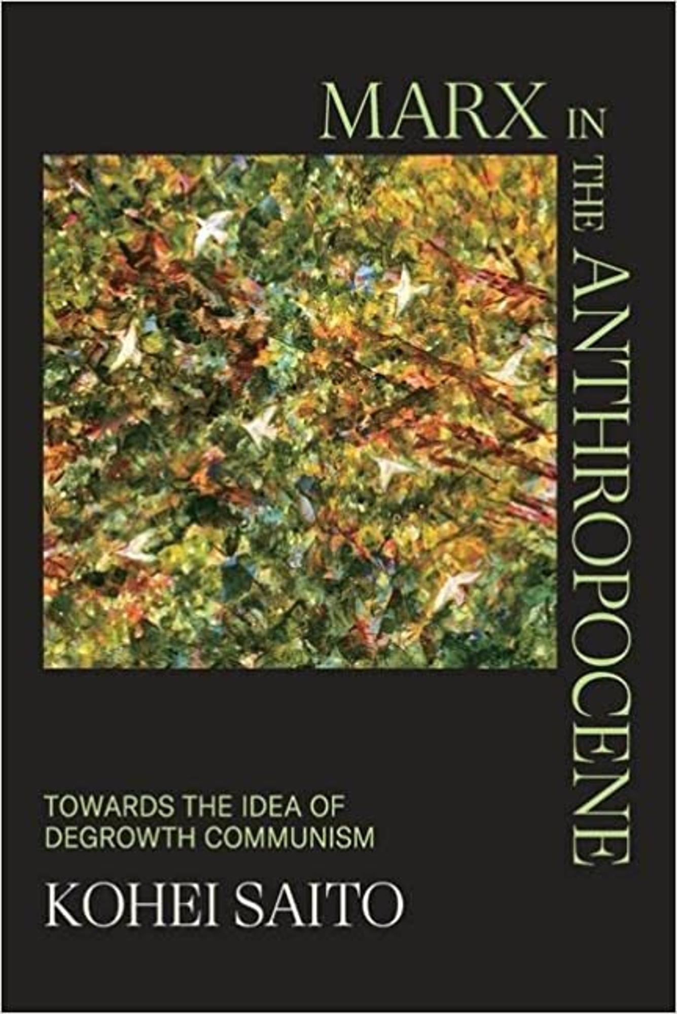 Cover image for MARX IN THE ANTHROPOCENE