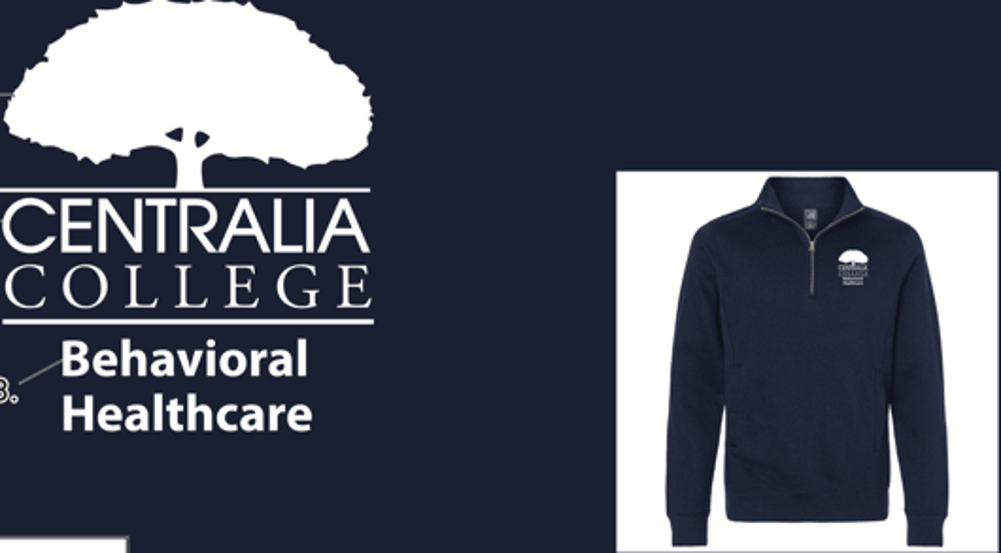 image of: J. America Behavioral Healthcare 1/4 Zip