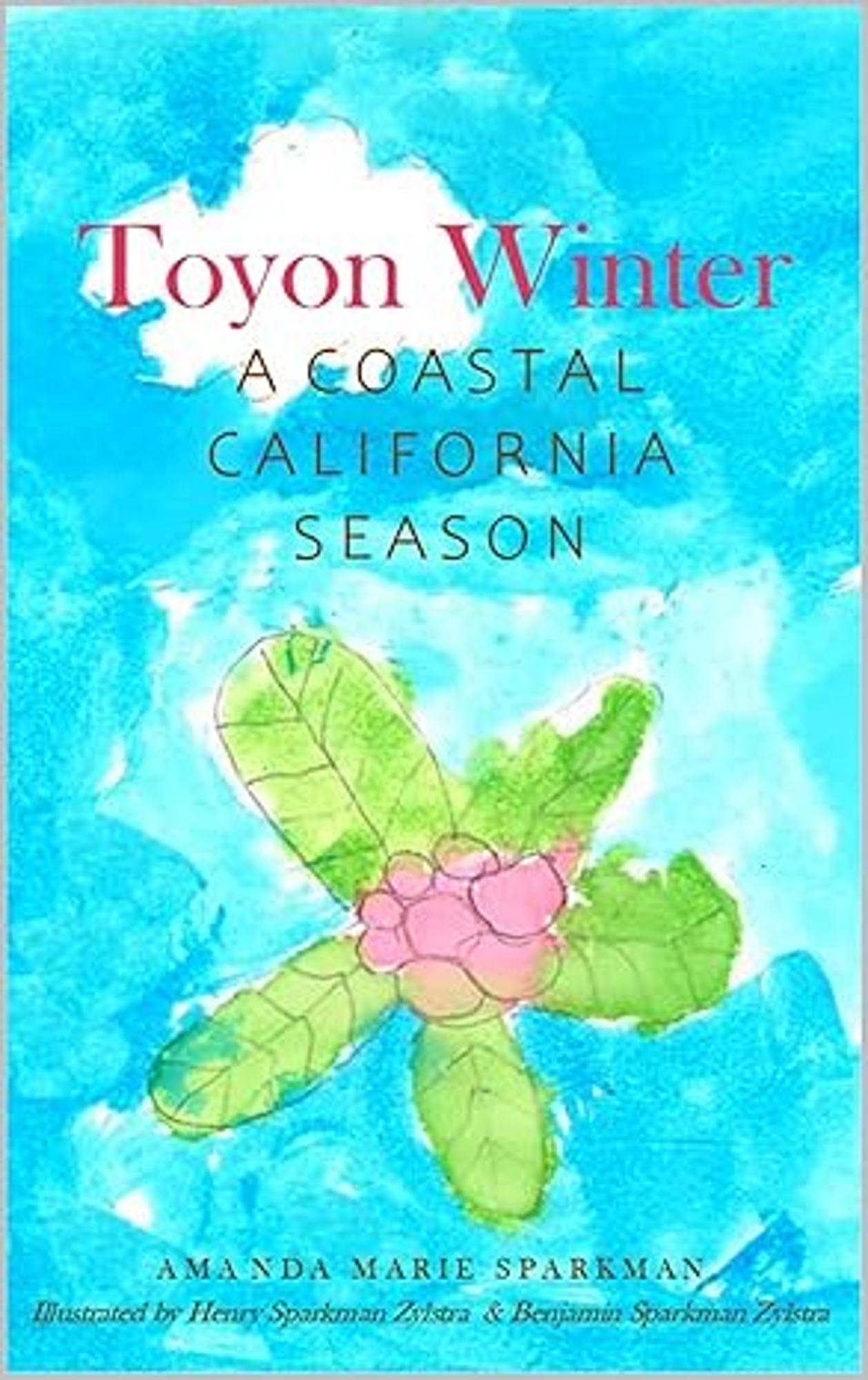 Cover image for Toyon Winter