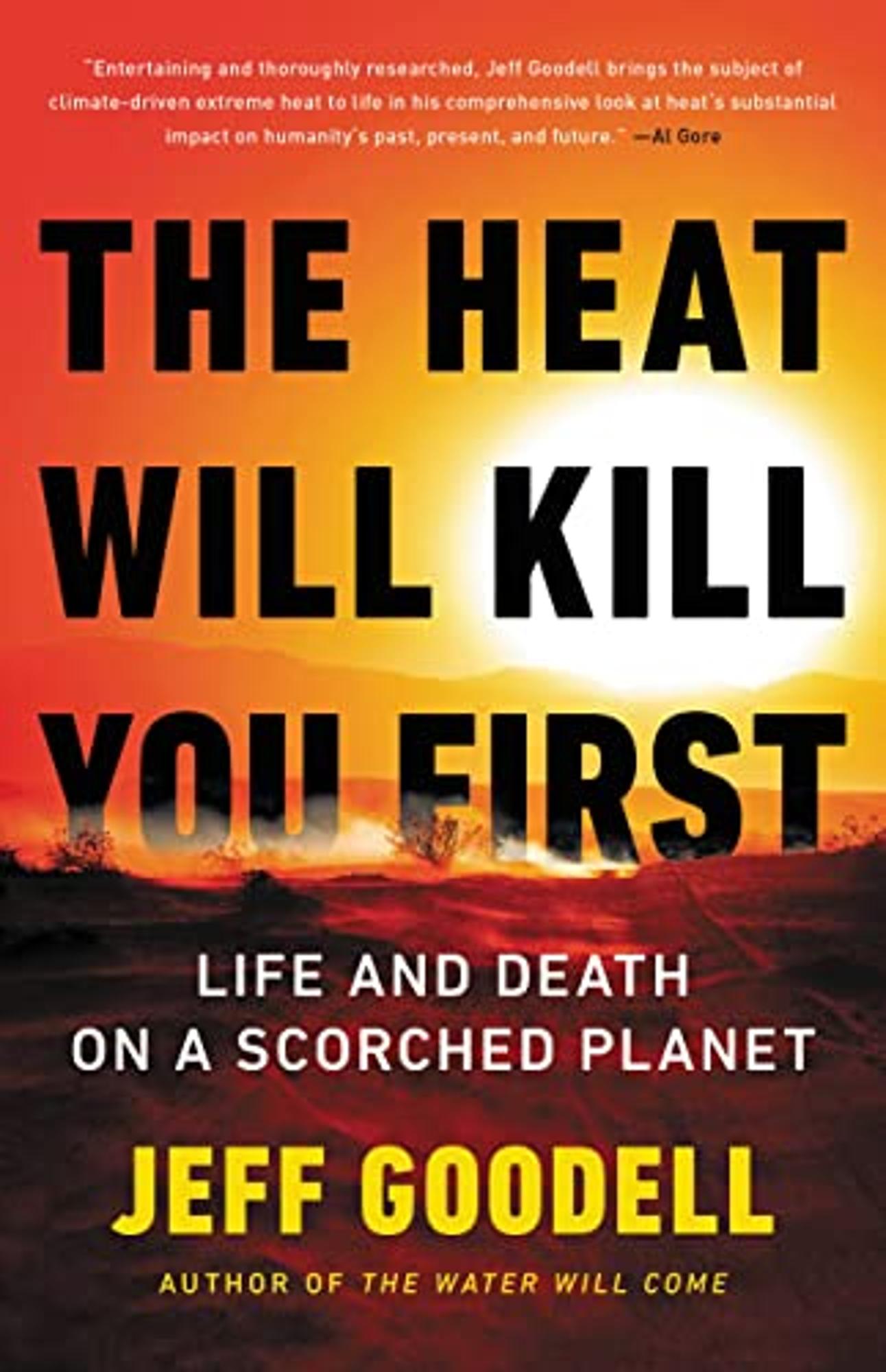 Cover image for HEAT WILL KILL YOU FIRST