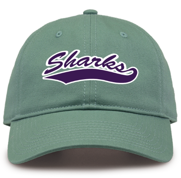 Southeast Arkansas College Script Outline Cap, Teal; $29.98