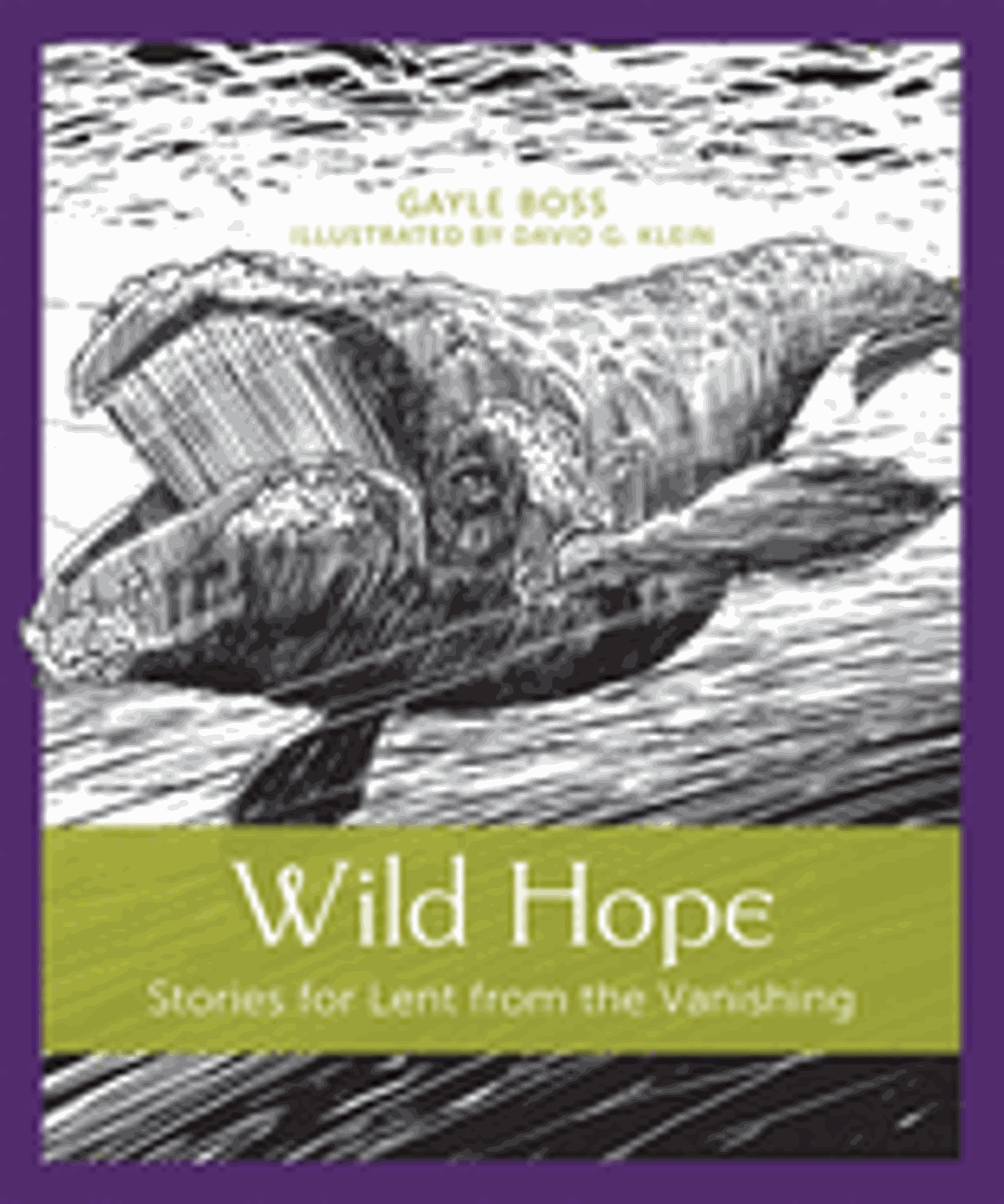Cover image for Wild Hope