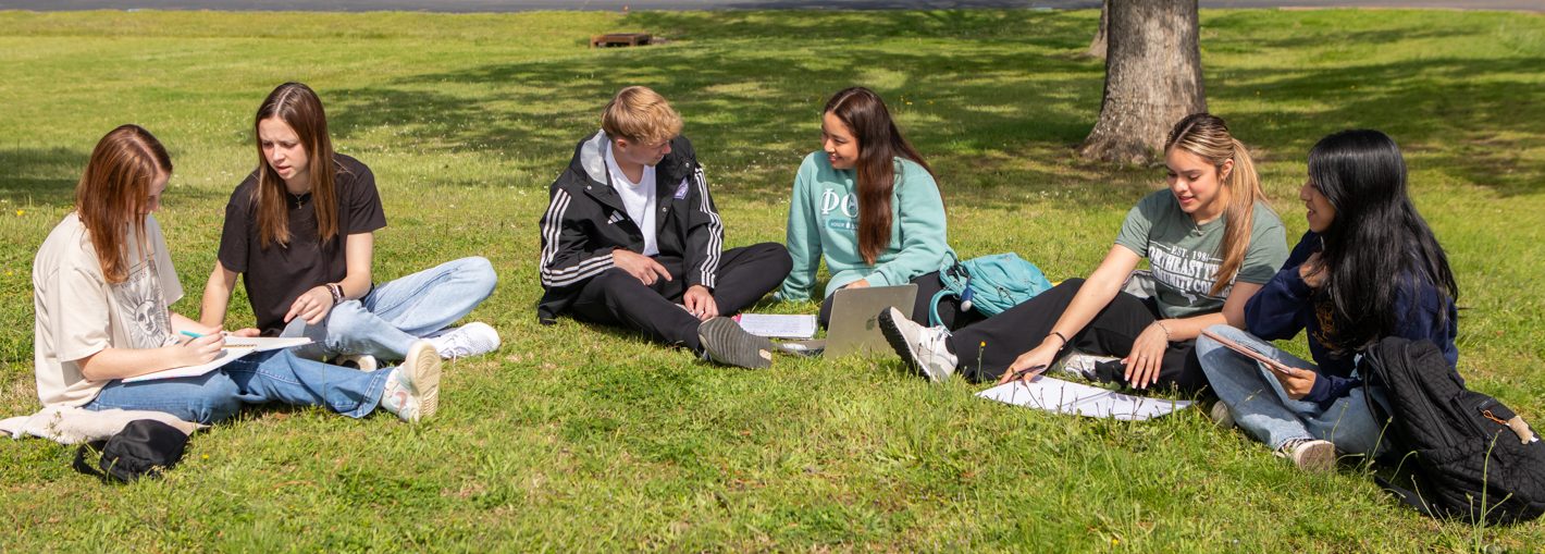 Students Studying Outside