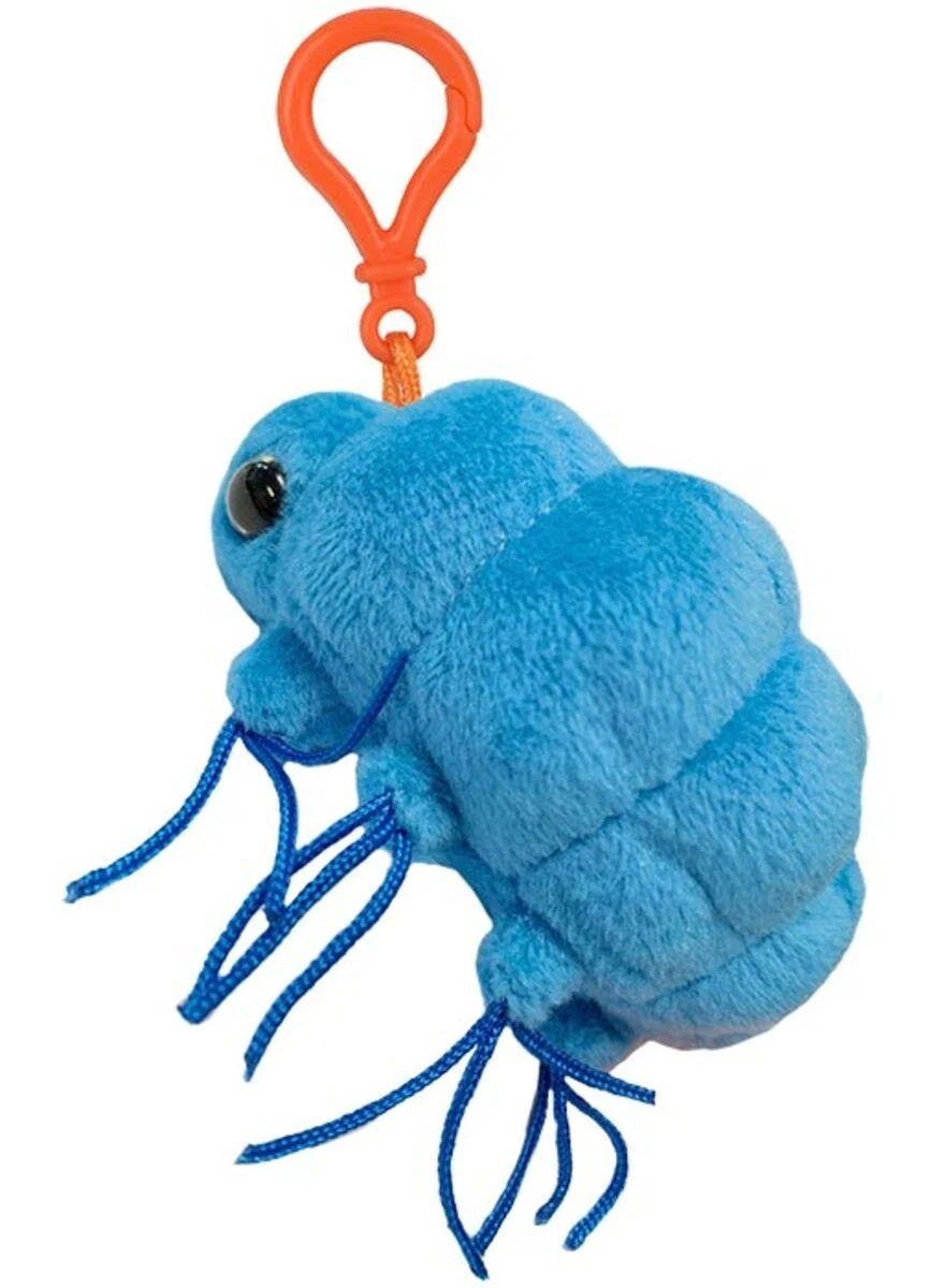 Variant 17 of 17 for GIANT MICROBES KEYCHAIN