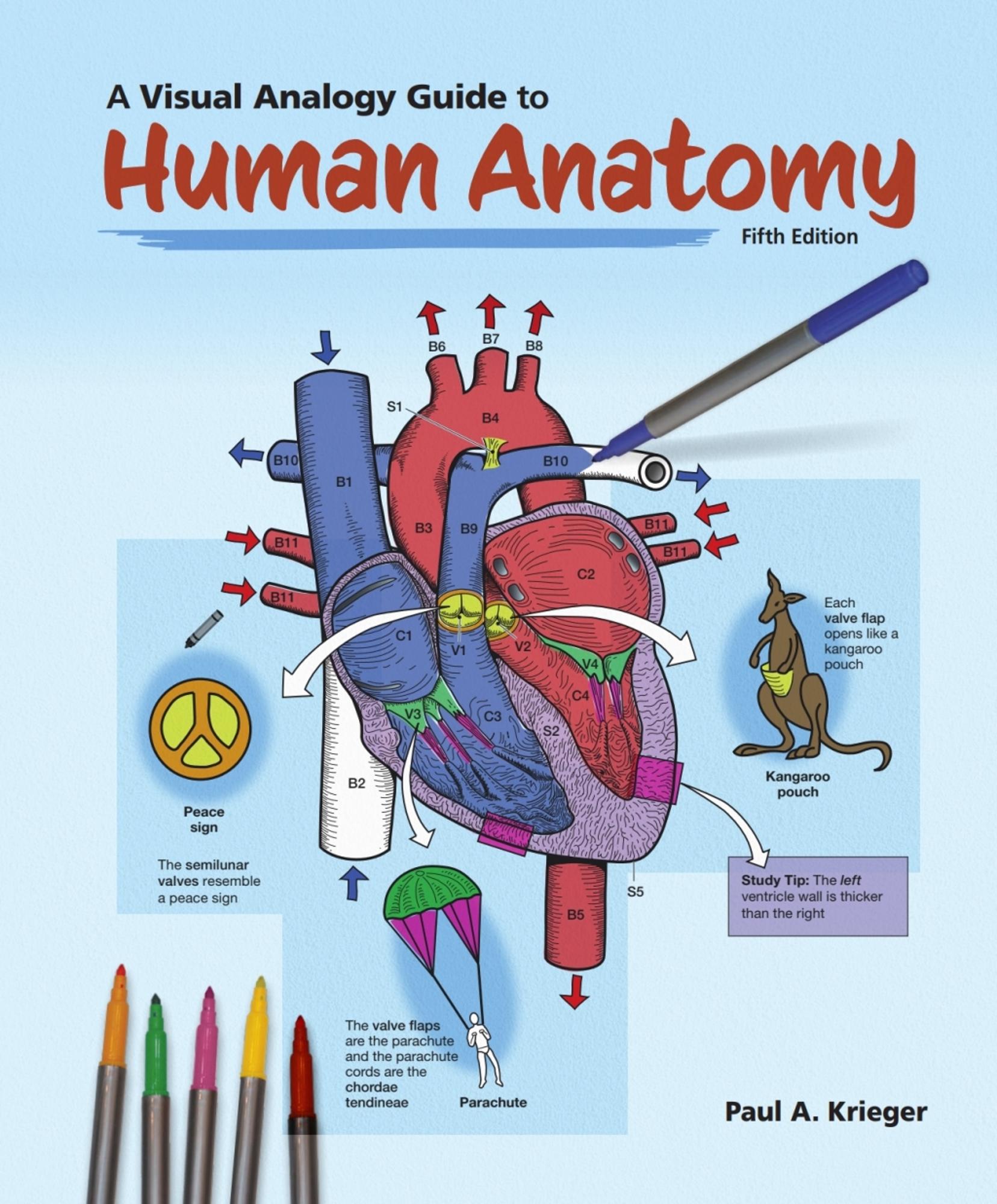Cover image for Visual Analogy Guide to Human Anatomy