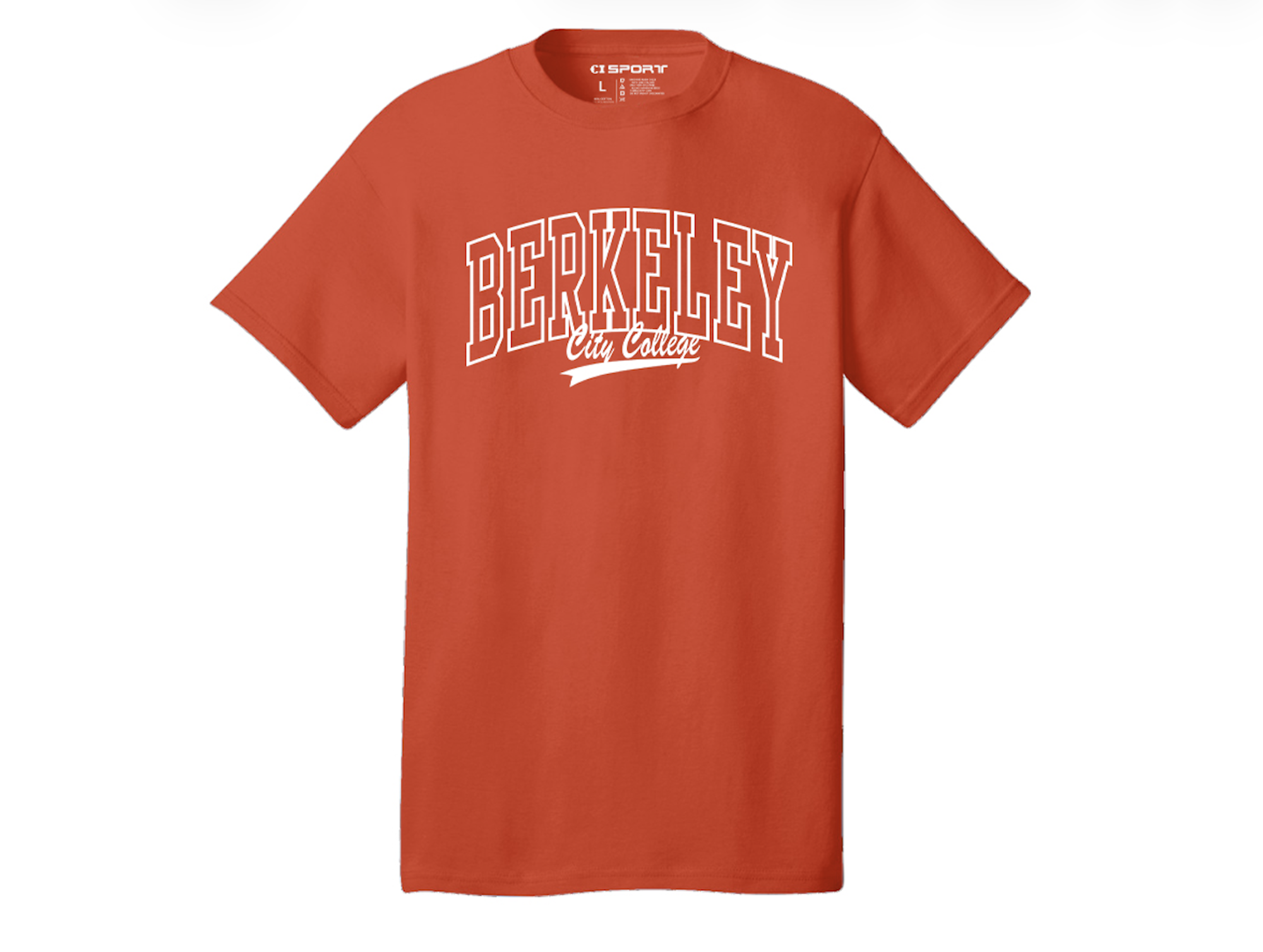 Product image 2 of 4 for PCC BERK SS TEE VT ROSEGLEN