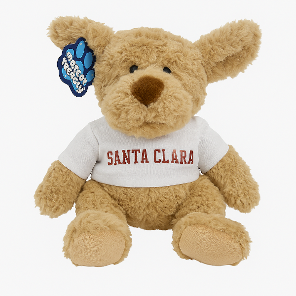 Santa Clara Broncos Bear with Tee, Brown 2; $19.98