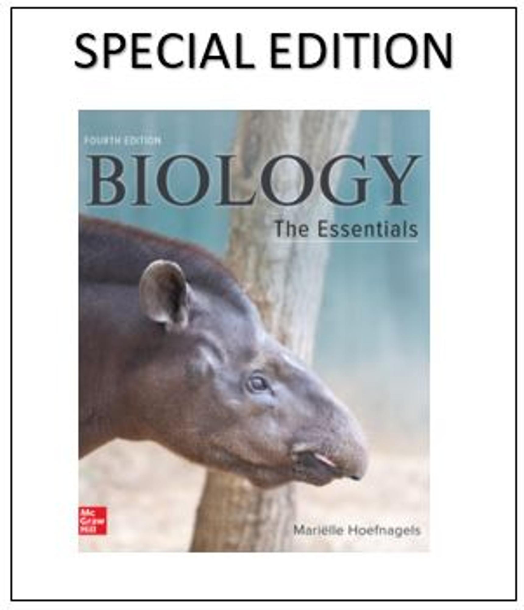 Cover image for HOEFNAGELS / BIOLOGY: The ESSENTIALS Loose Leaf IA Special 4th Ed