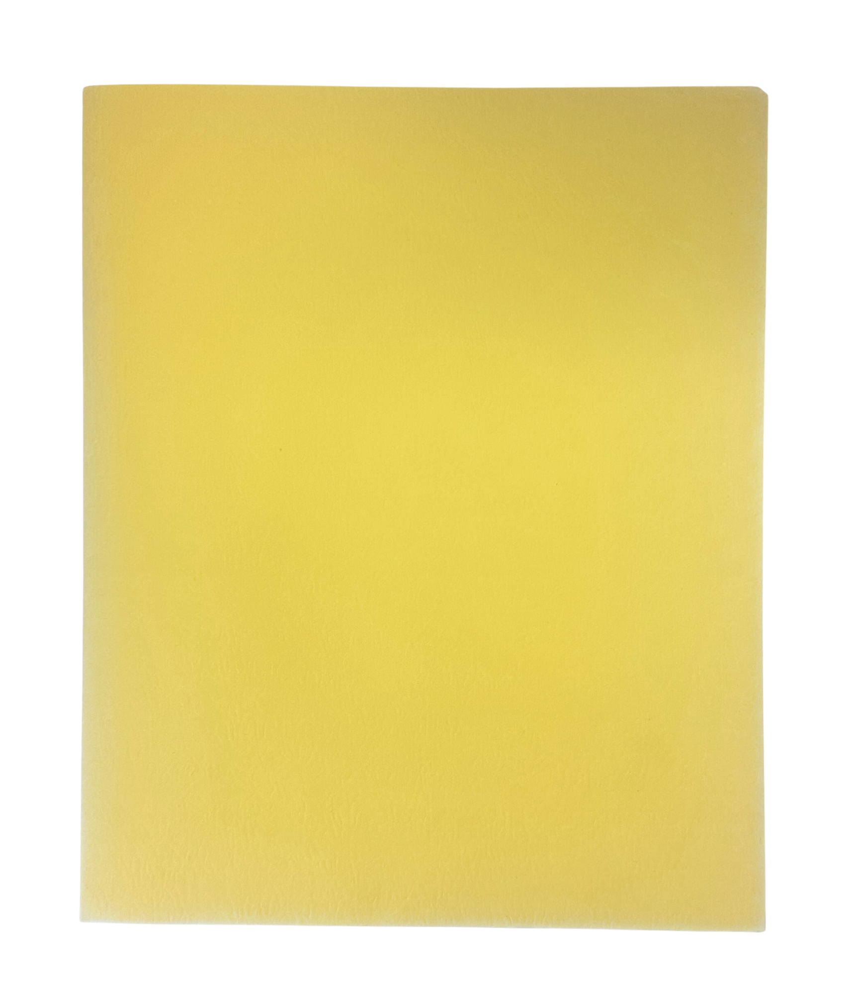 image of: ROARING SPRING POCKET FOLDER TWO COLORS TWO POCKETS NO PRONGS