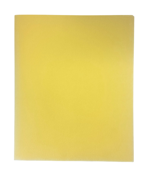 ROARING SPRING POCKET FOLDER TWO COLORS TWO POCKETS NO PRONGS; $0.49