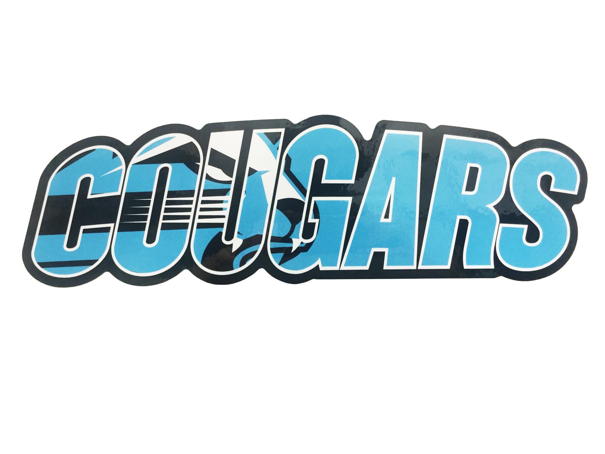 Enlarged product image