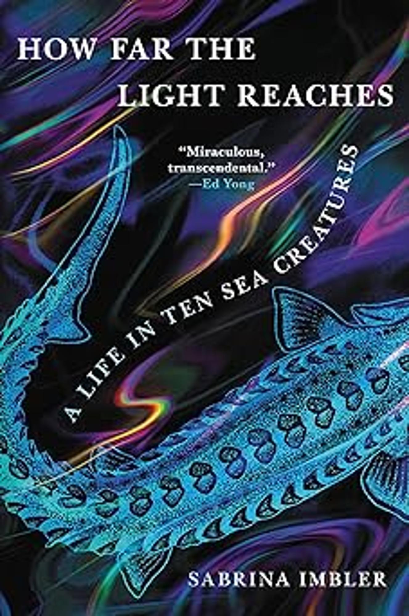 Cover image for HOW FAR THE LIGHT REACHES