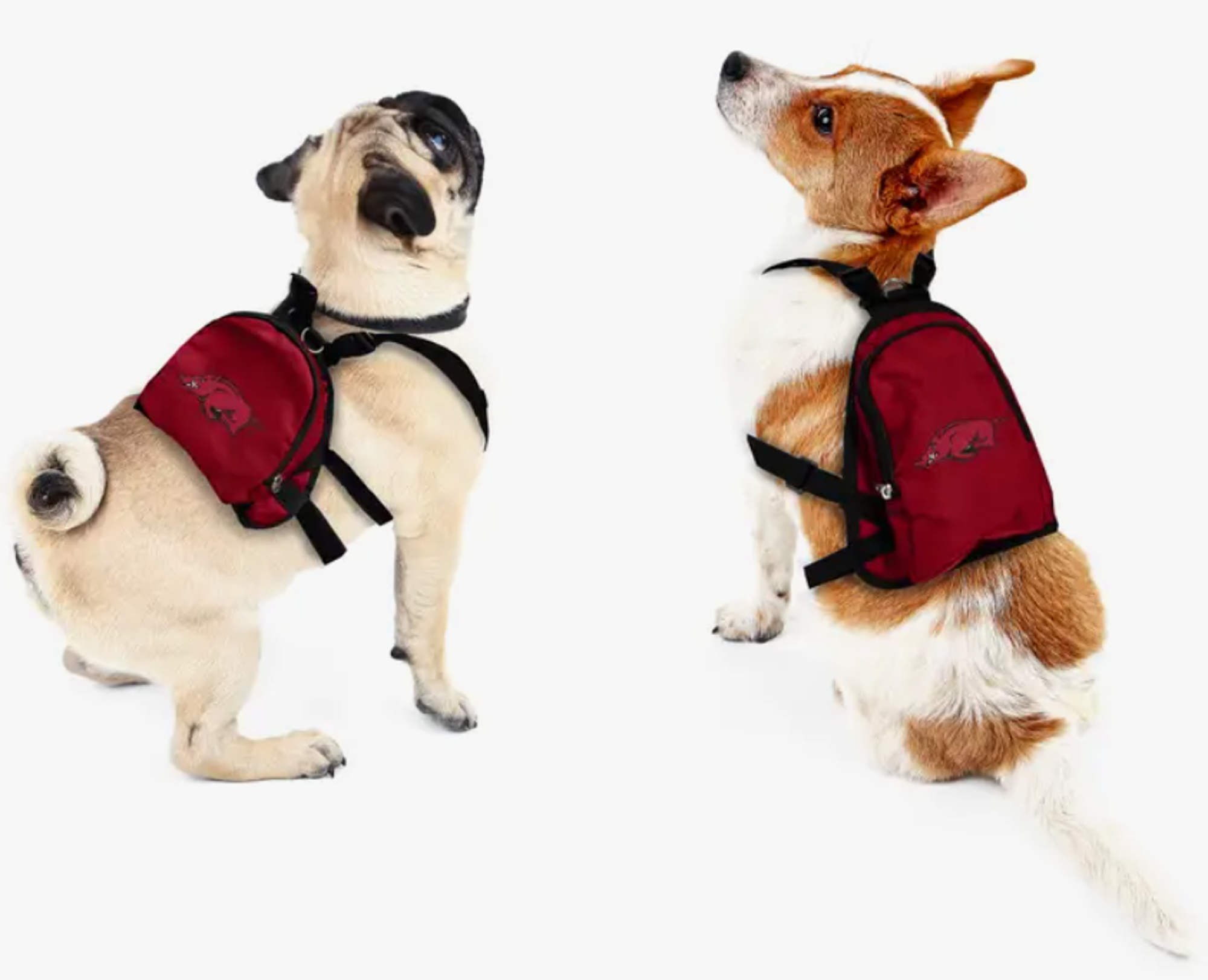 image of: Arkansas Razorbacks Pet Mini Backpack
