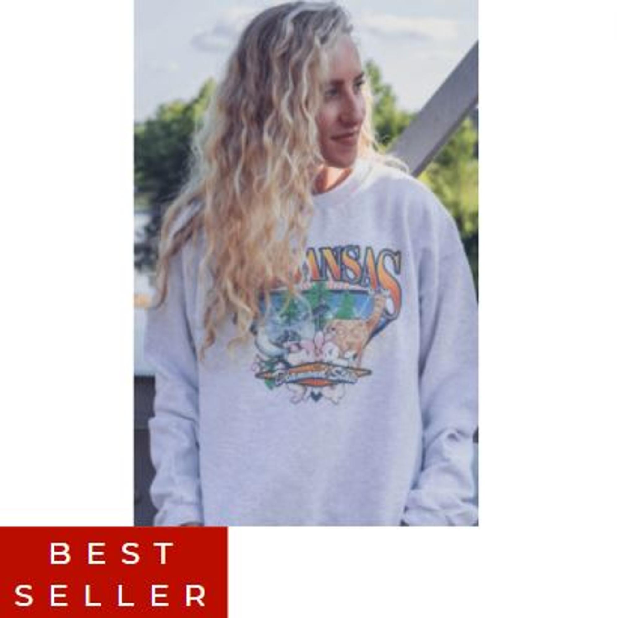 image of: Arkansas Diamond State Retro Crew Sweatshirt - Ash Grey