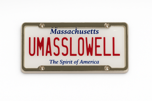 License Plate Magnet; $9.99