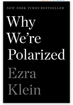 Cover image for WHY WE'RE POLARIZED