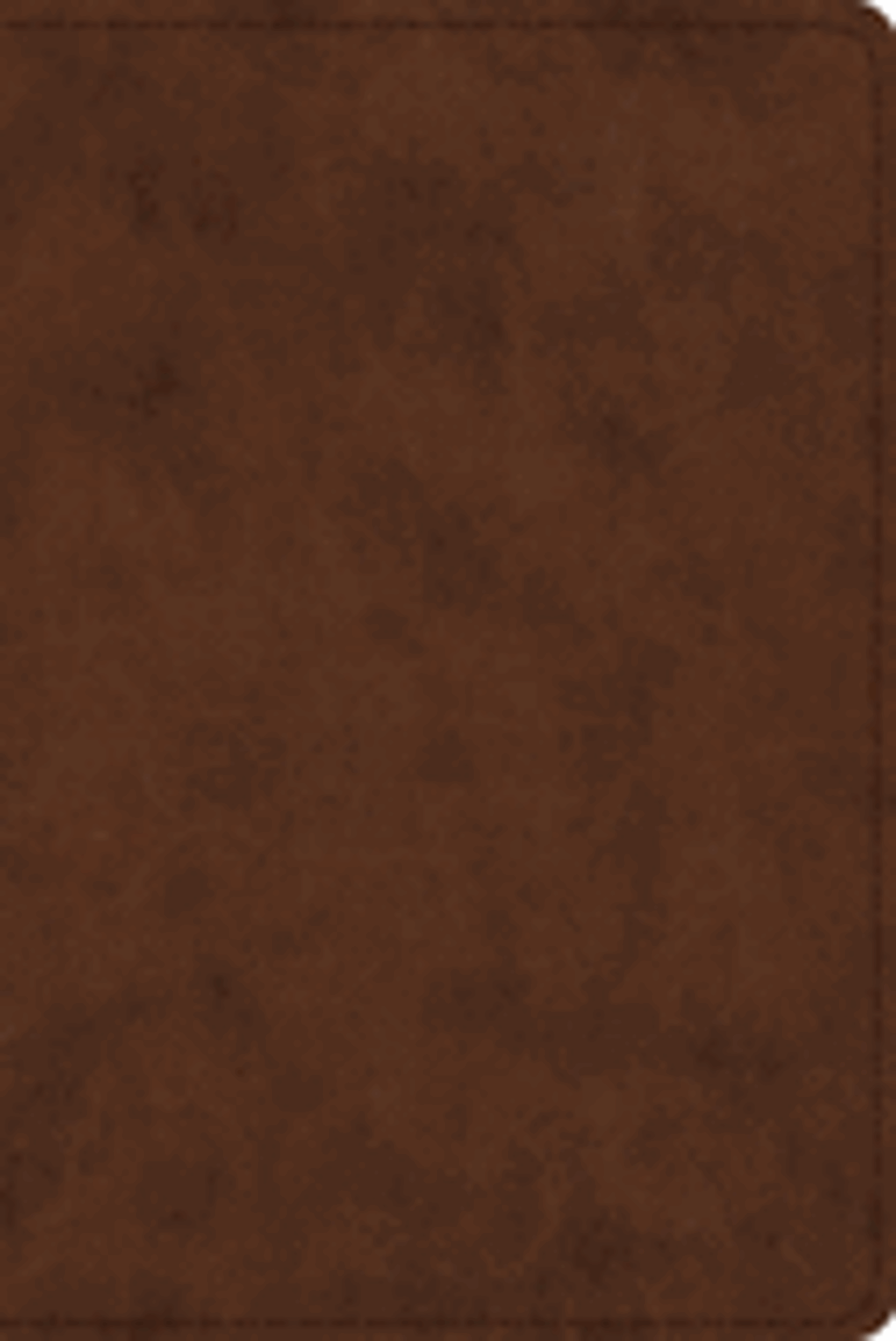Cover image for ESV Study Bible-Personal Size, Brown Imitation Leather