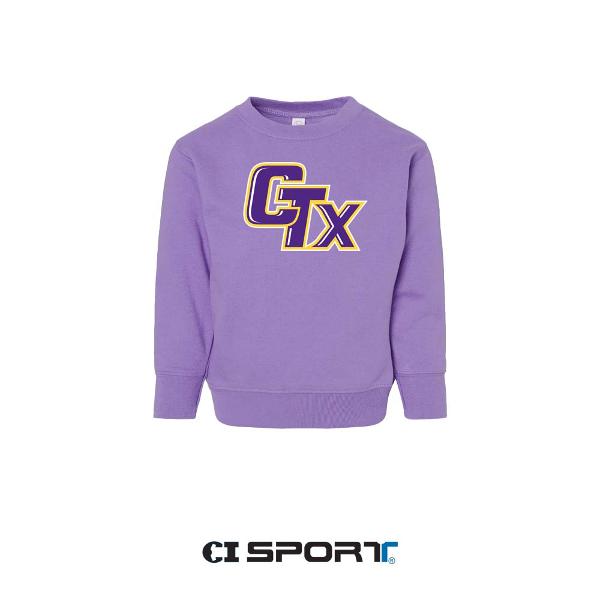 Toddler CTX Crewneck Sweater Lavender; $24.99