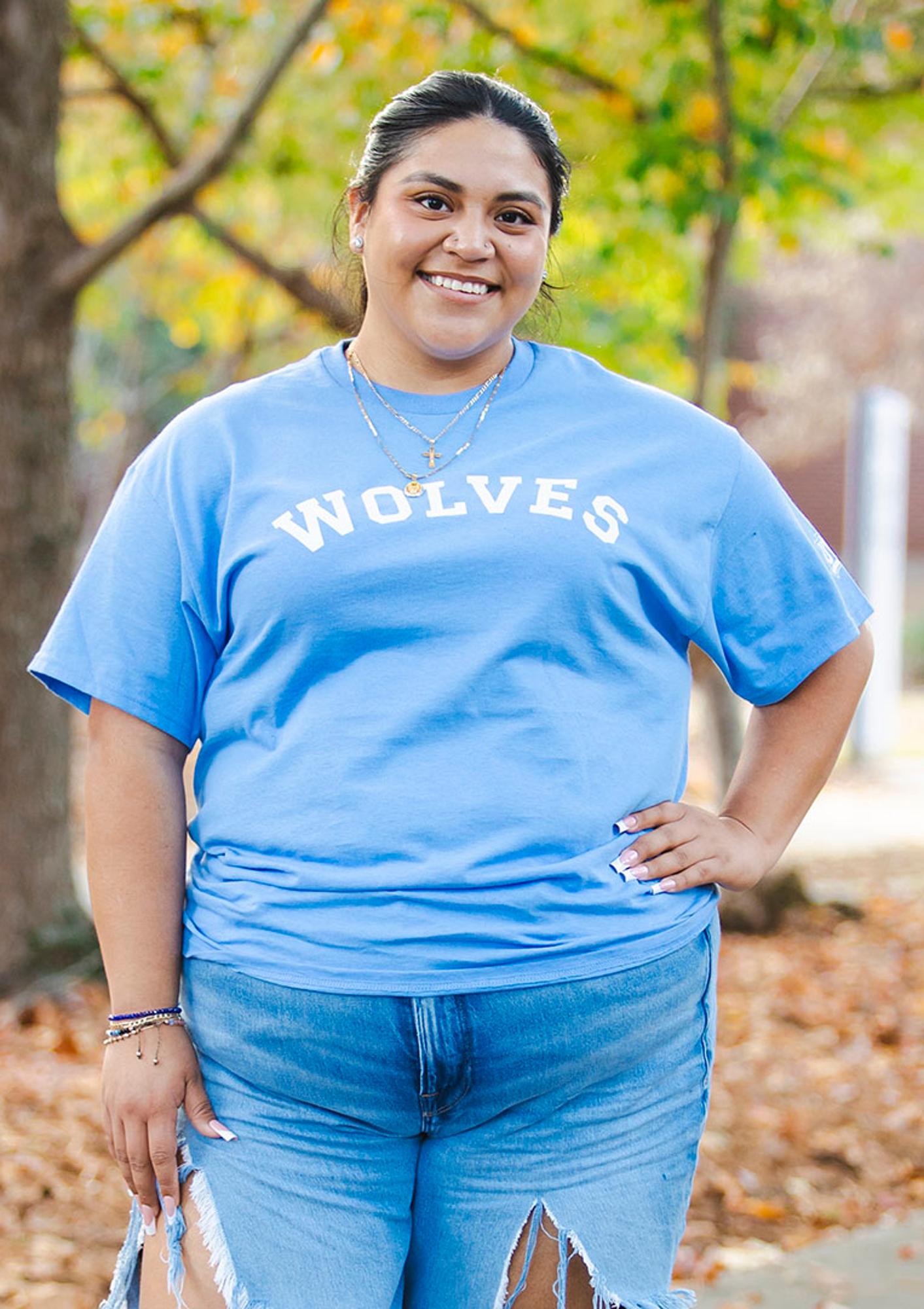 image of: WOLVES TEXT TEE