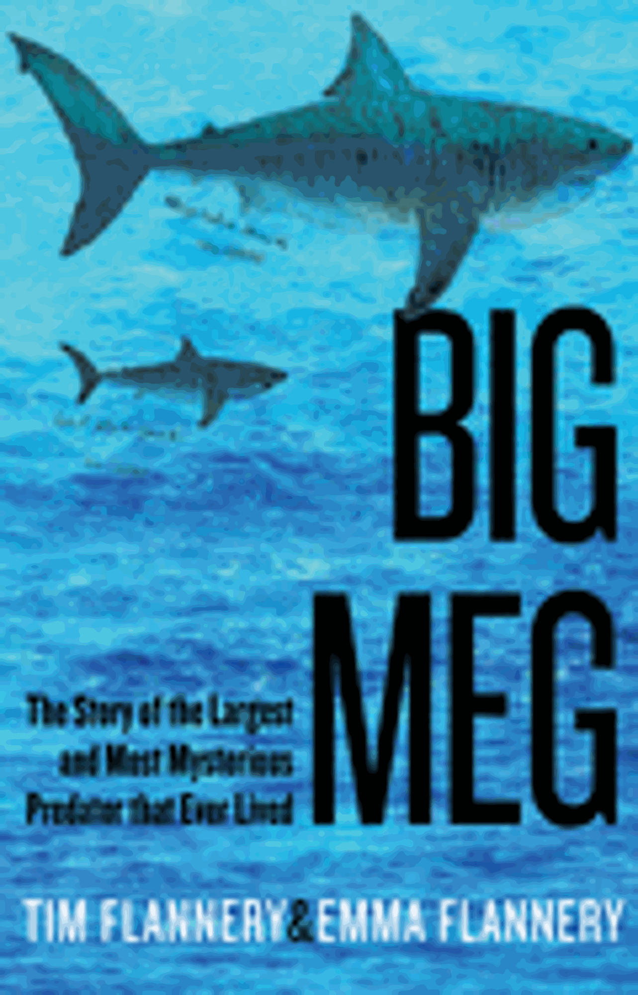 Cover image for Big Meg: The Story of the Largest and Most Mysterious Predator That Ever Lived
