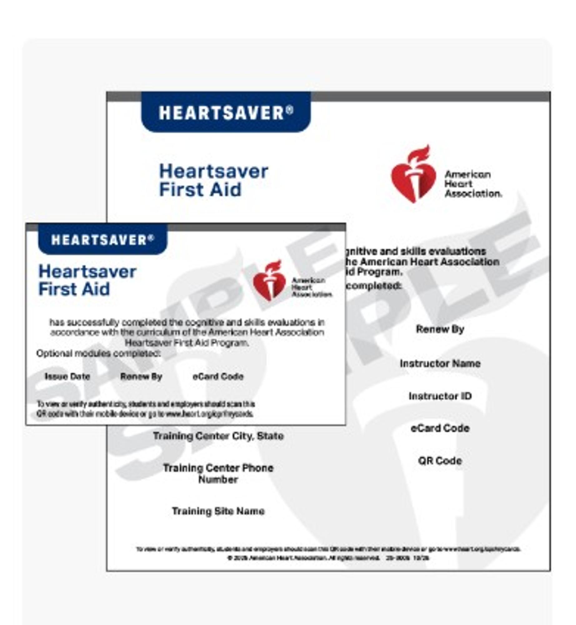 Cover image for HEARTSAVER 1st AID ECARD 2025 - #25-3005