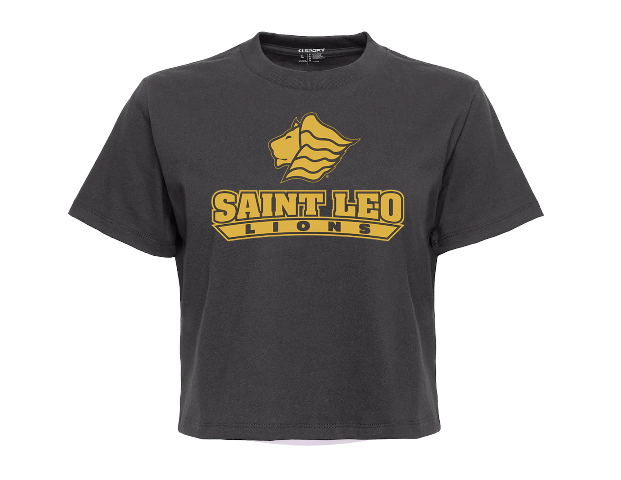 Product image 1 of 1 for LEO SS TEE WOS BOXY TEE DUHAMEL