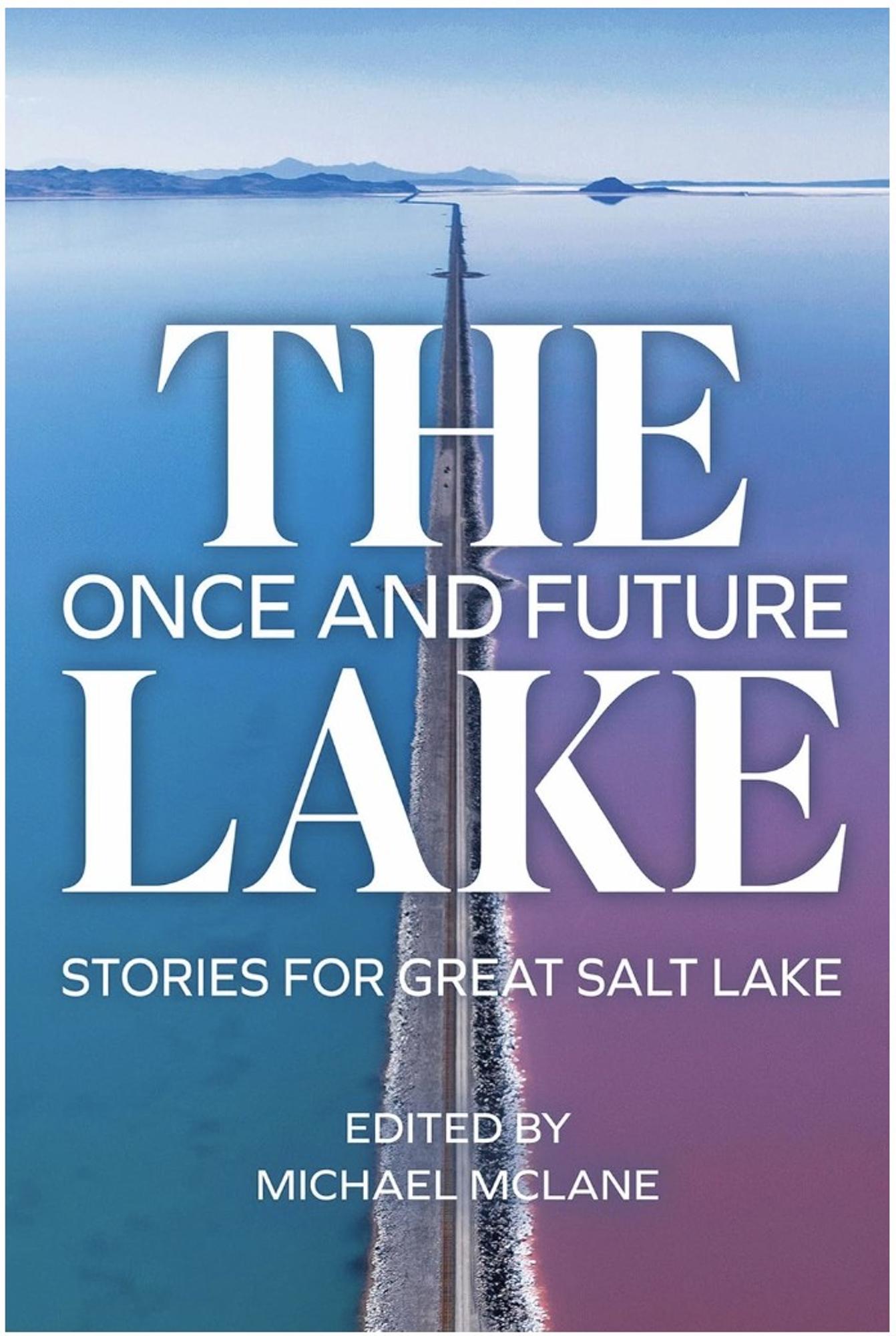 Cover image for THE ONCE AND FUTURE LAKE