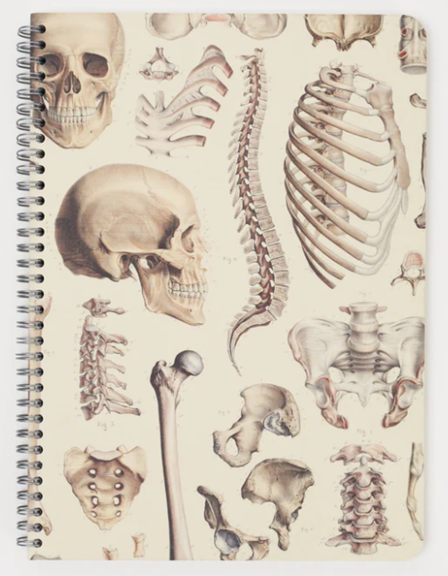 Variant image 15