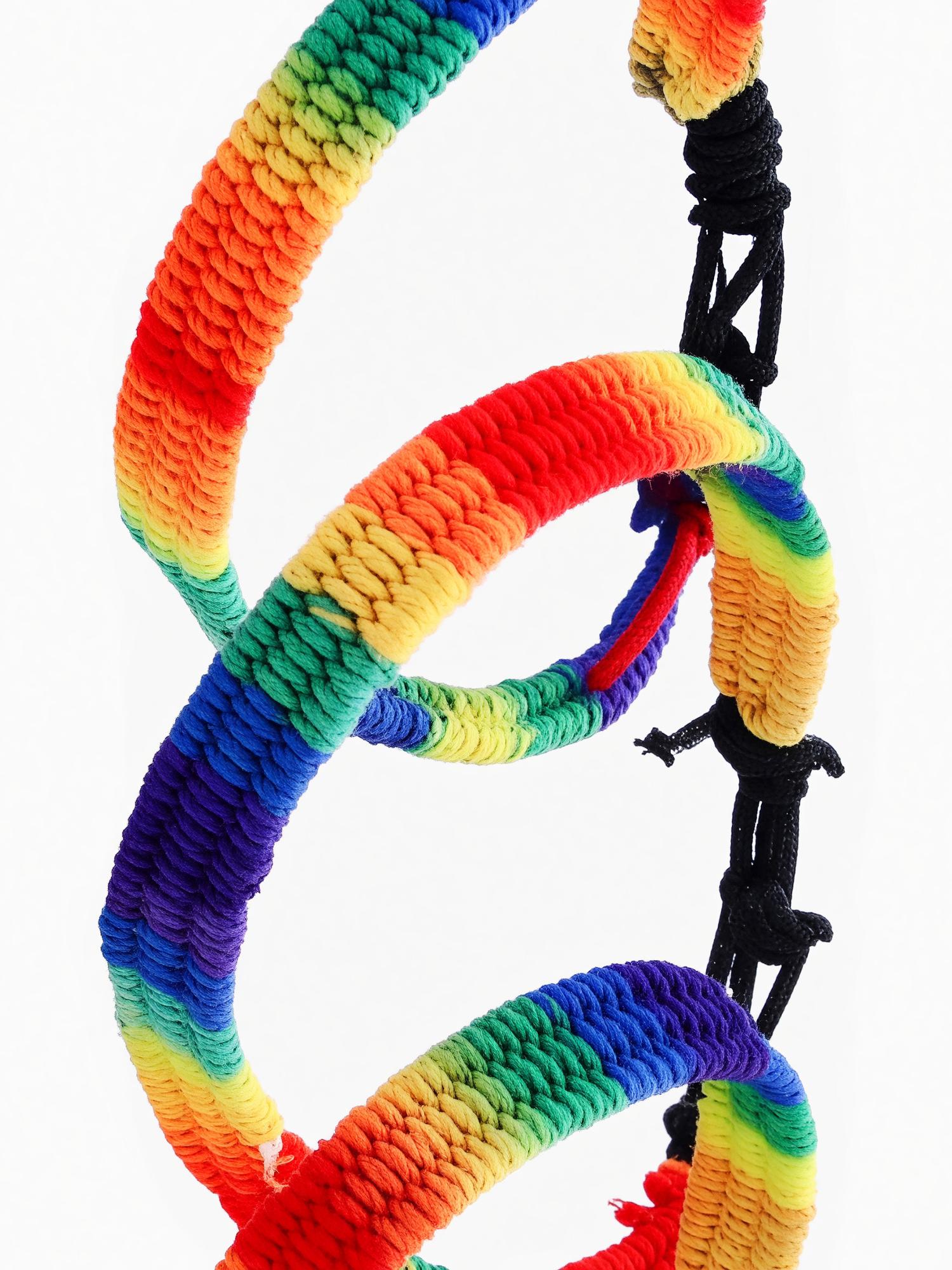 Product image 1 of 3 for PRIDE Braided Rainbow Bracelet