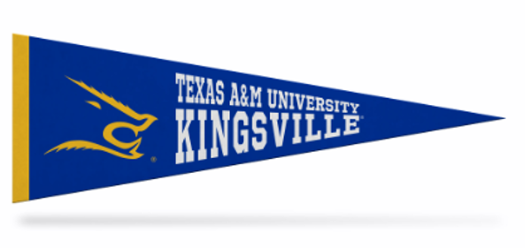 TAMUK 5X15 PENNANT JAVELINA; $9.99