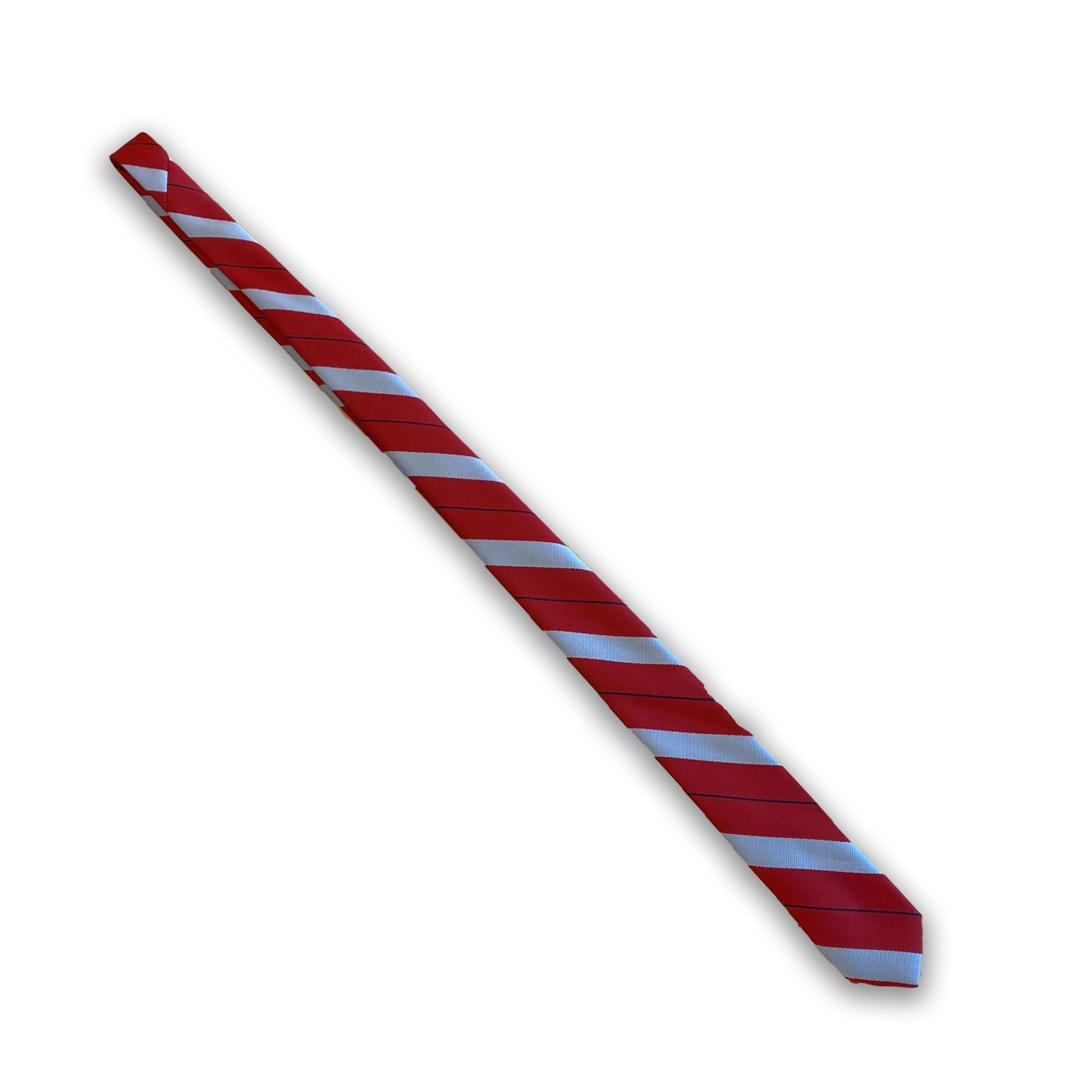 image of: CHESS STRIPE REG SKIINY STYLE TIE