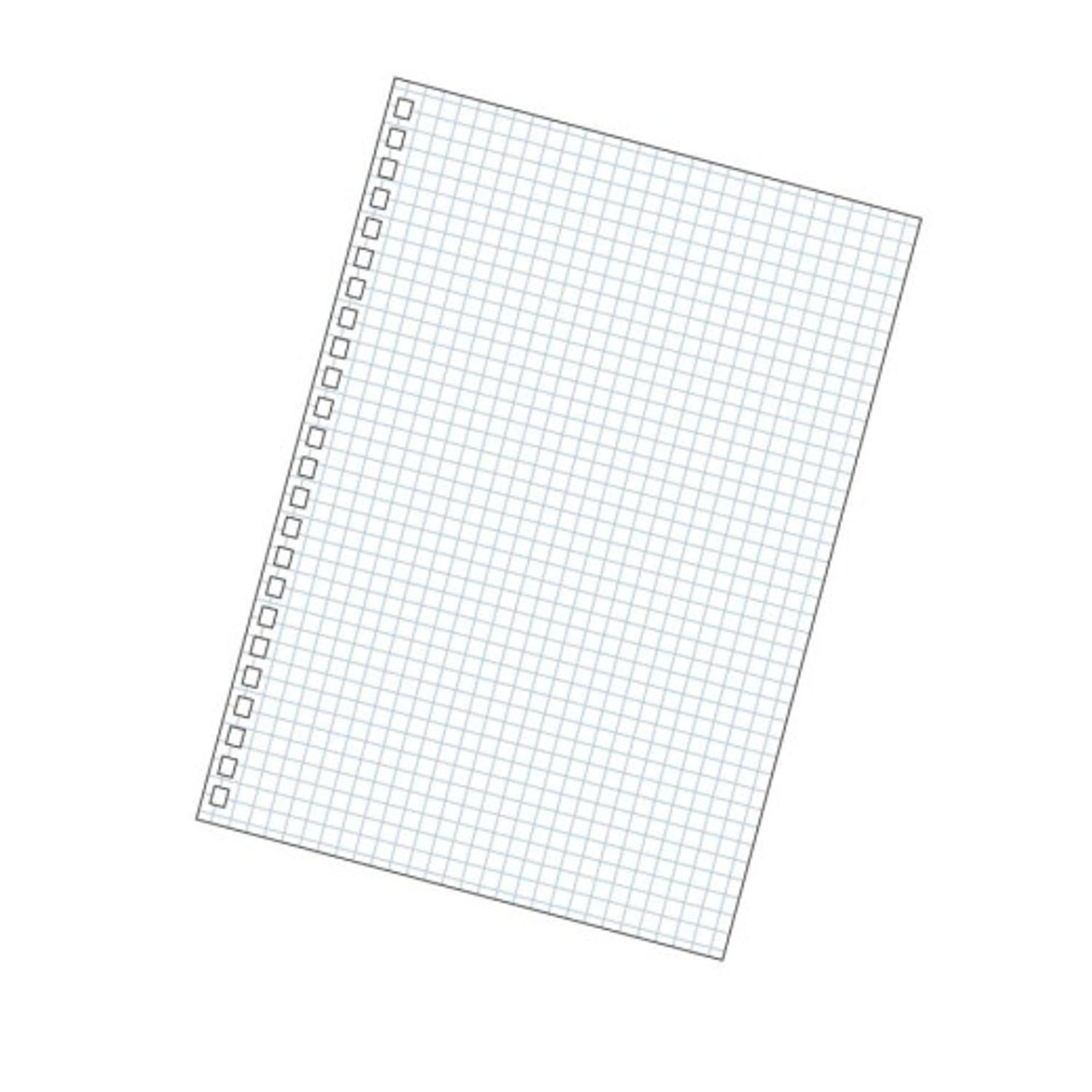 Product image 2 of 3 for GRAPH FILLER PAPER LIHIT