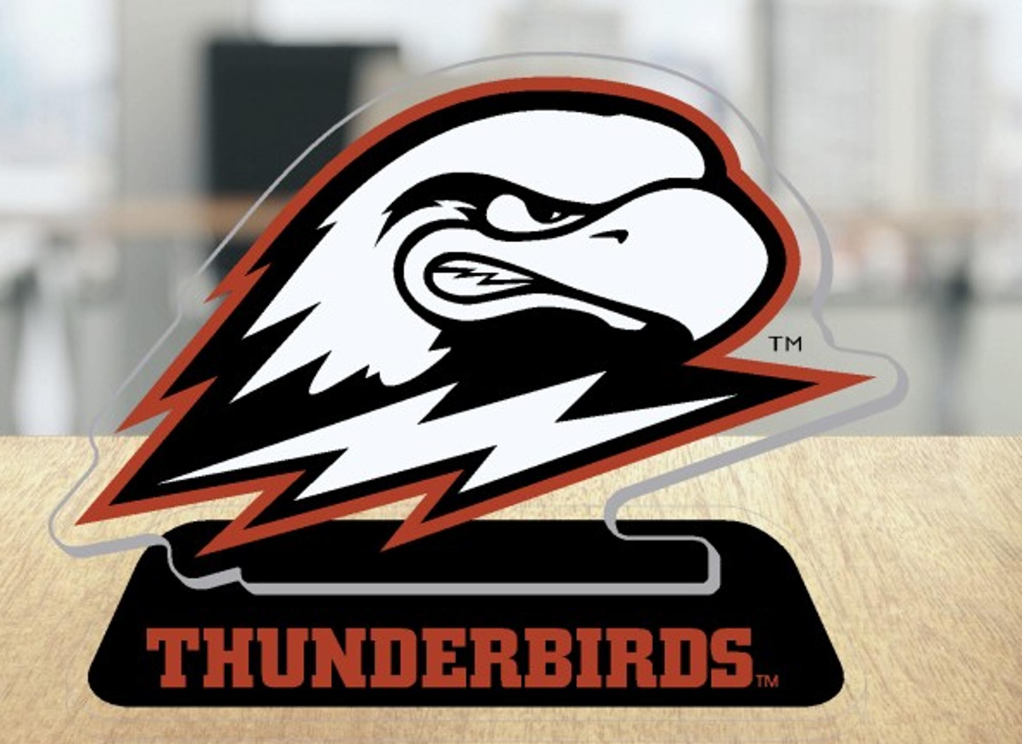 Product image 1 of 1 for CDI MINI ACRYLIC THOR THUNDERBIRDS STANDEE