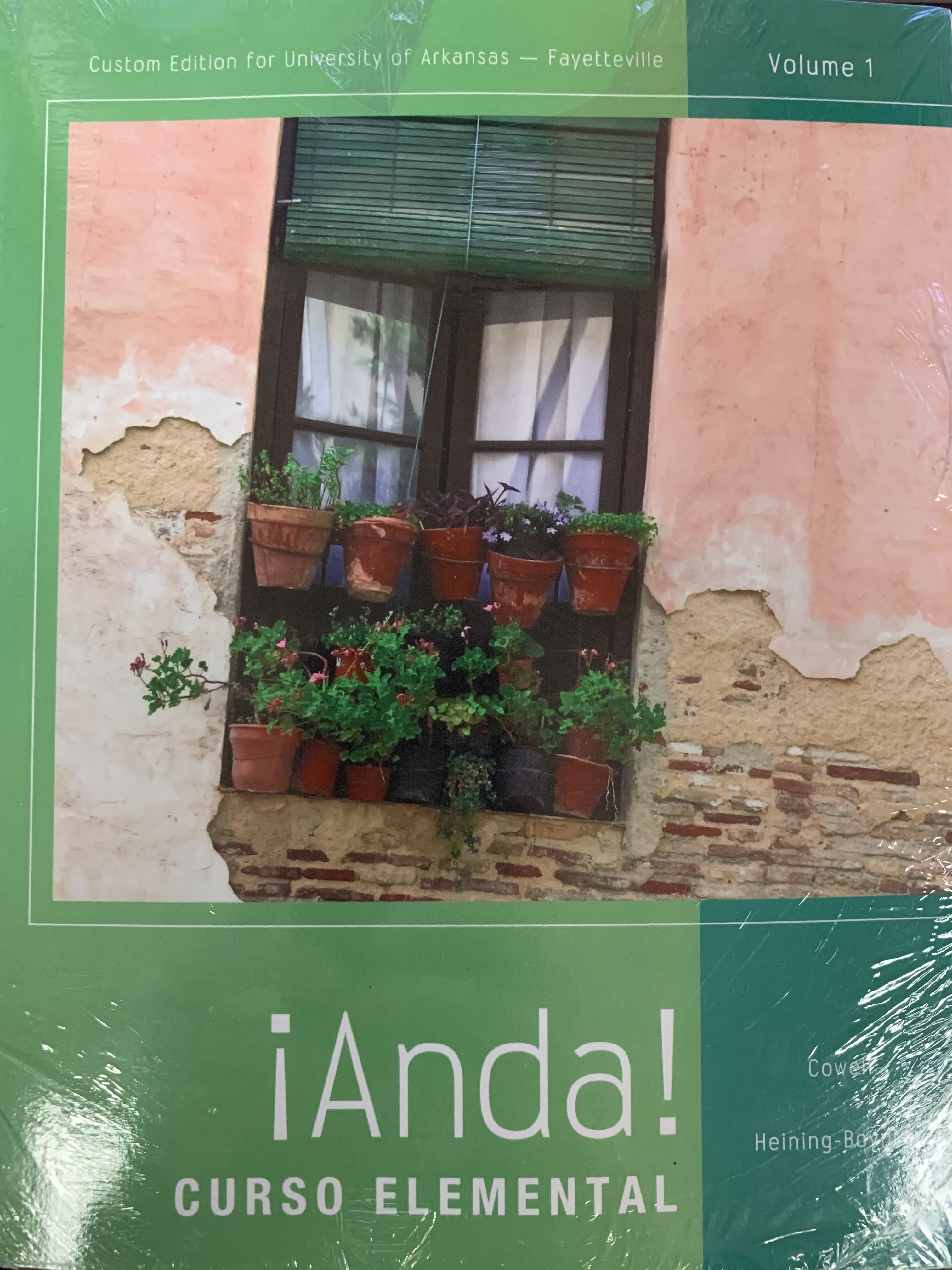 Cover image for ANDA CURSO ELEMENTAL VOL 1 W/MSL