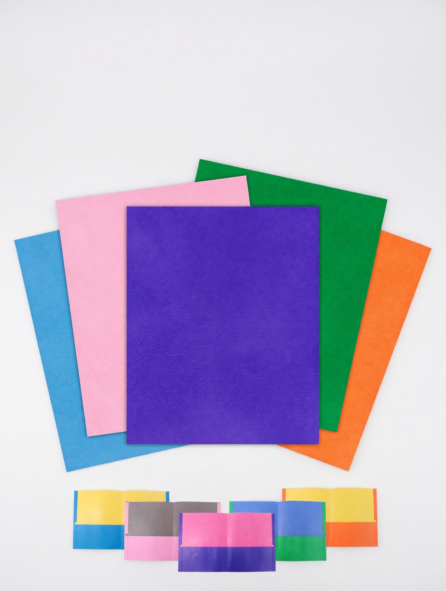 Product image 1 of 1 for FOLDER 2 POCKET DOUBLE DIP ASST
