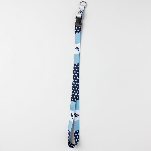 Strips Lanyard-Navy/White; $5.99