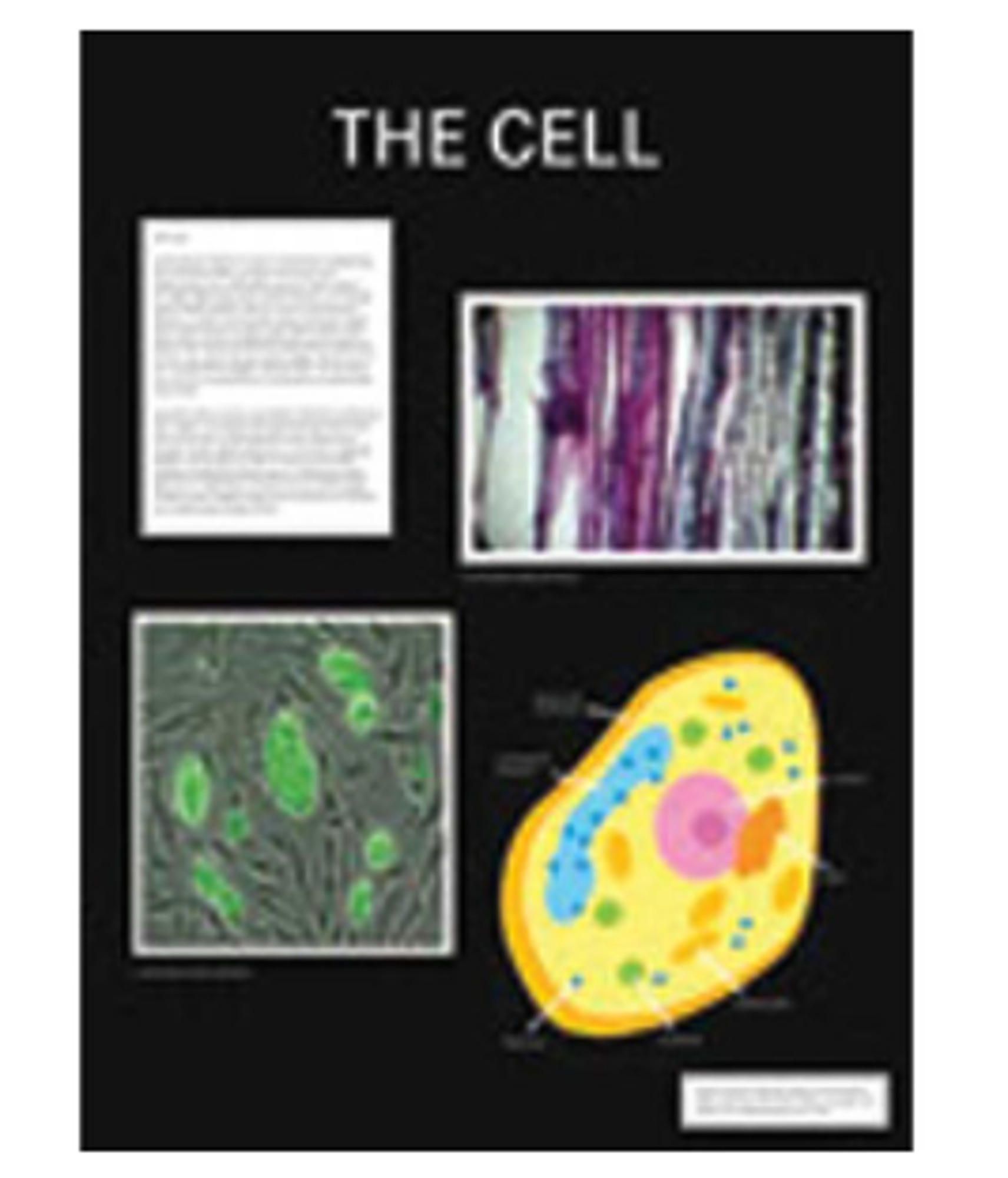 image of: Presentation Mounting Mat Black Board 20x30