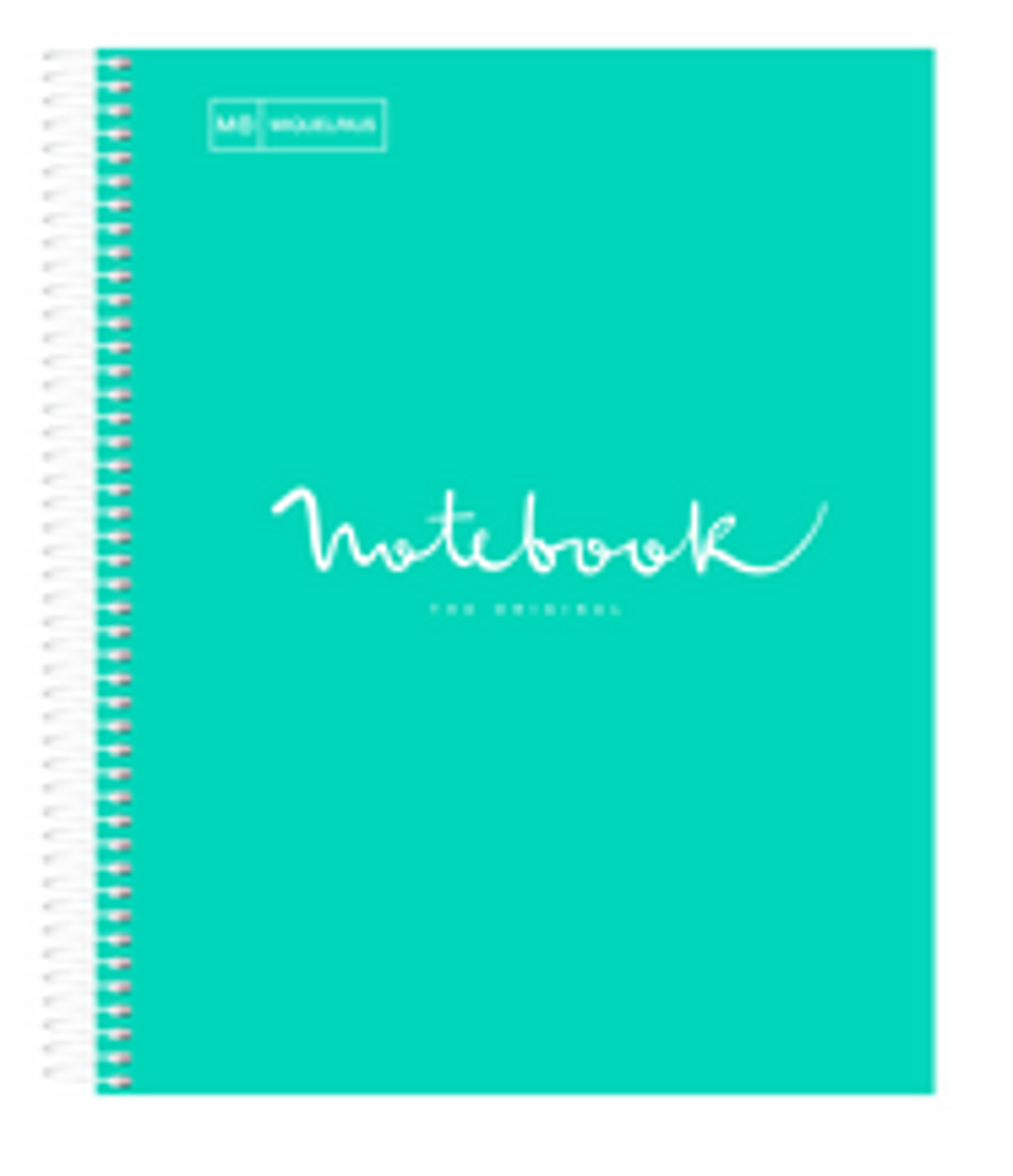 Variant 8 of 8 for Emotions Notebook 1 Subject