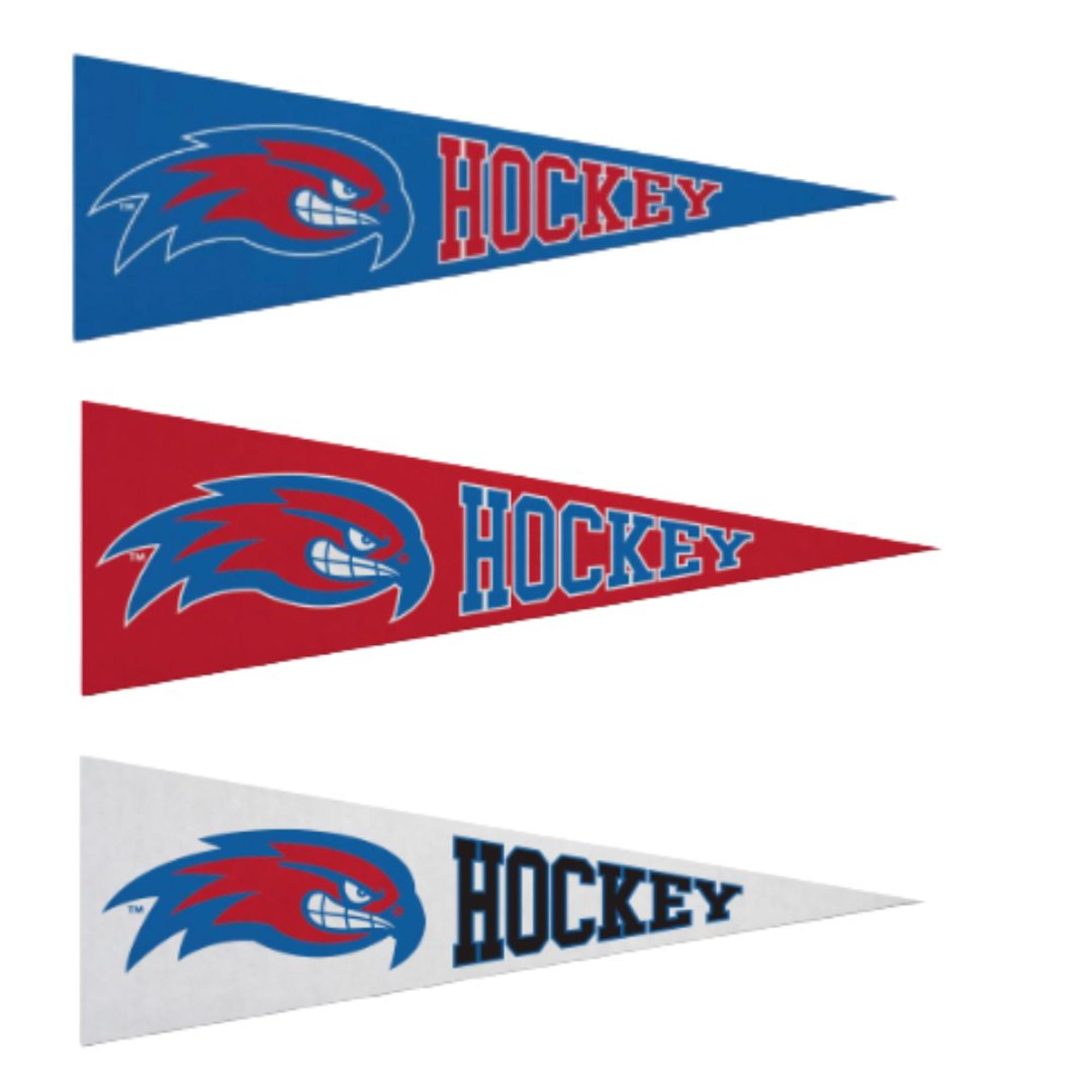 image of: River Hawk Hockey Pennant