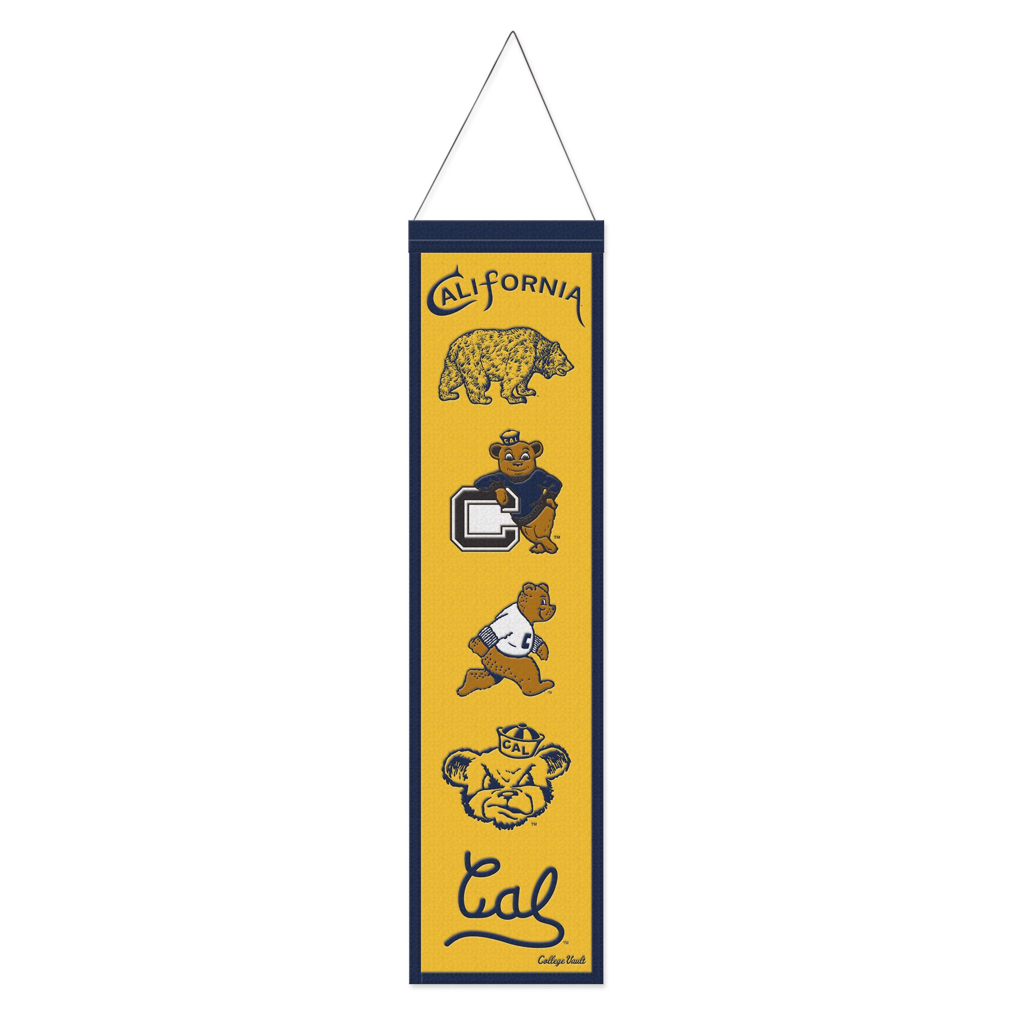 Product image 1 of 1 for Wool Banner 8in x 32in Vintage Multi Logo Evolution