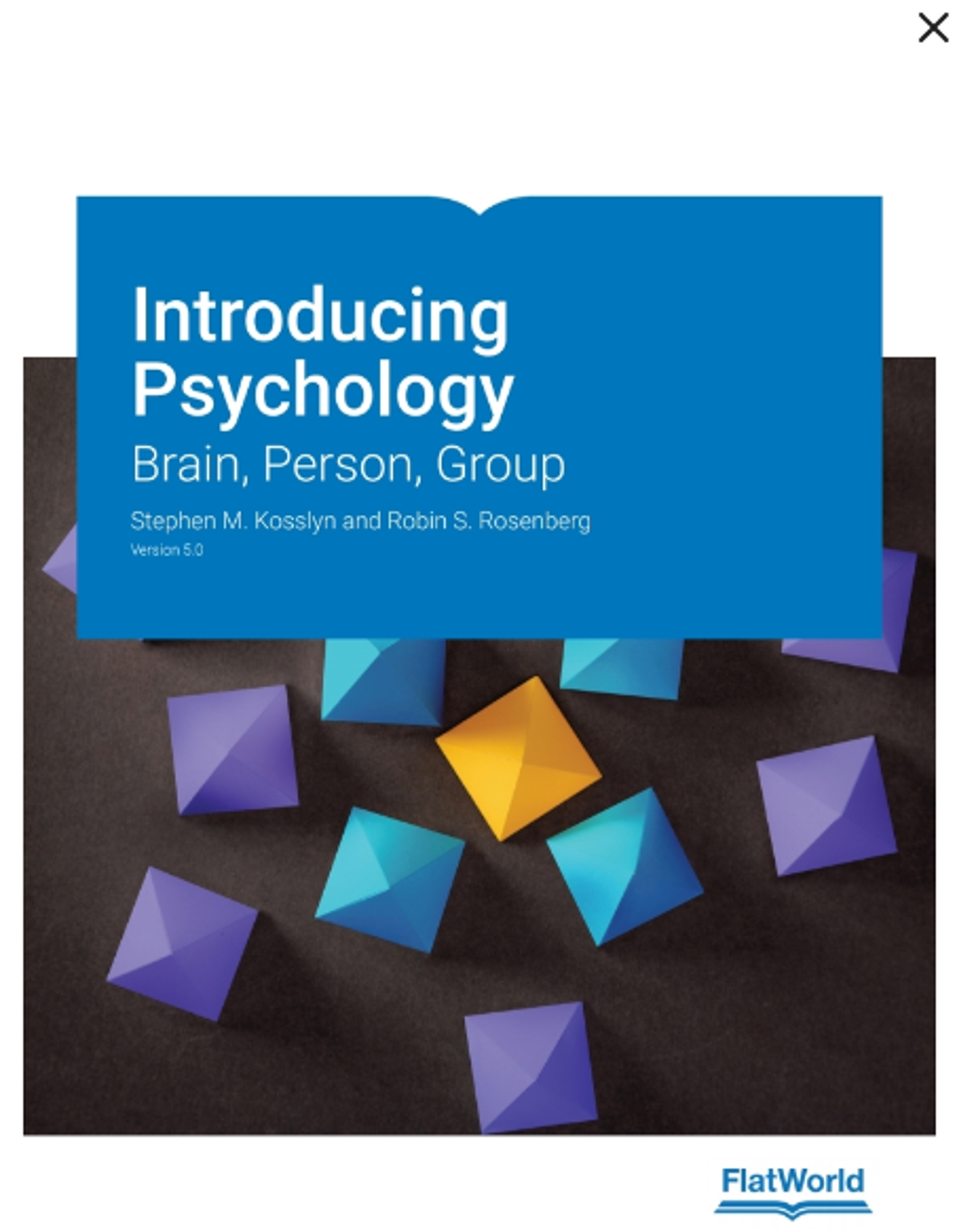 Cover image for INTRODUCING PSYCHOLOGY: BRAIN PERSON GROUP